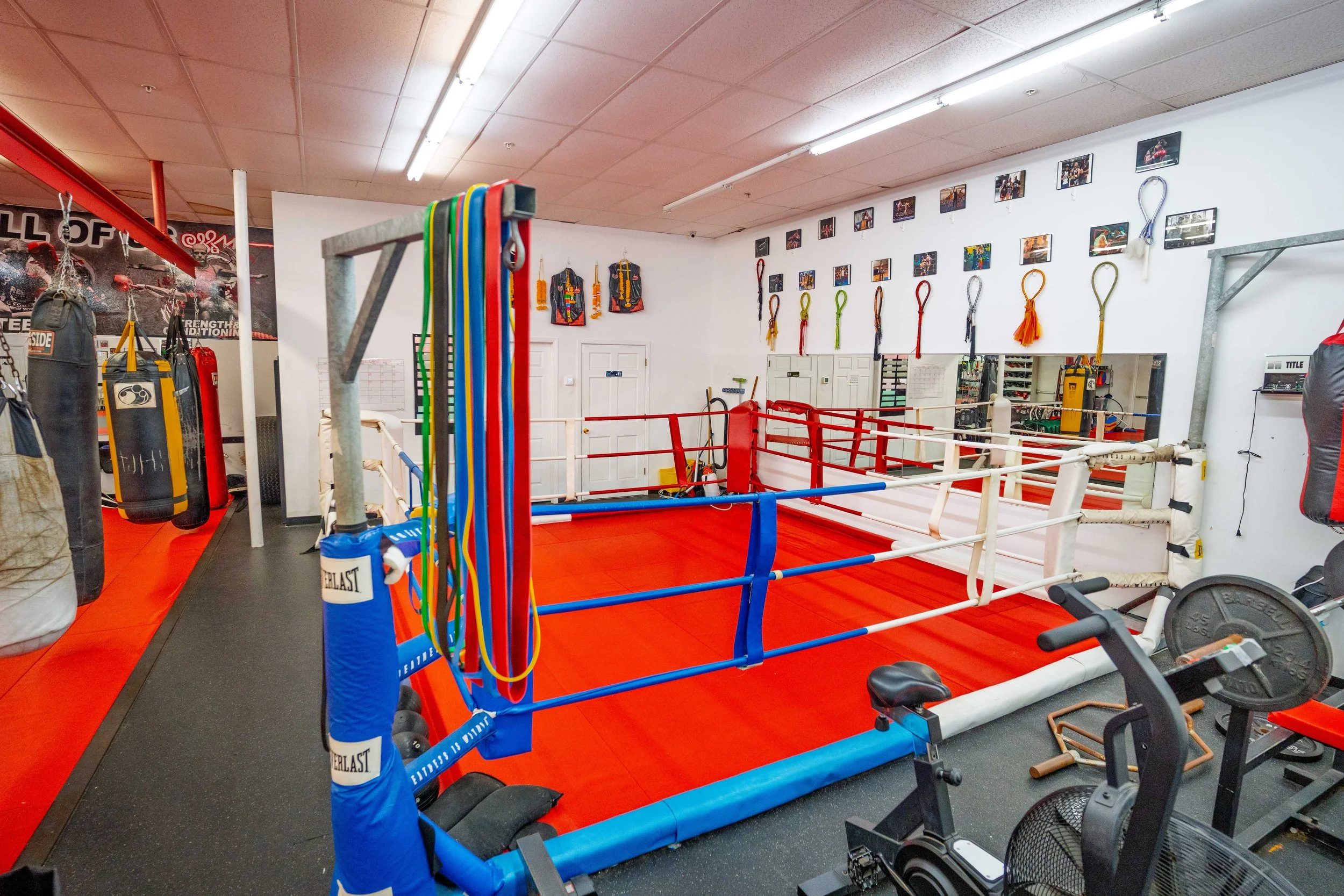 Boxing gym with boxing ring, punching bags, and wall decorations.