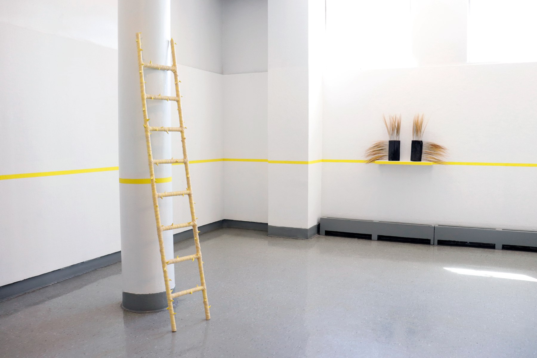 Installation view of "How to Inherit a Hazard" by Andrius Alvarez-Backus