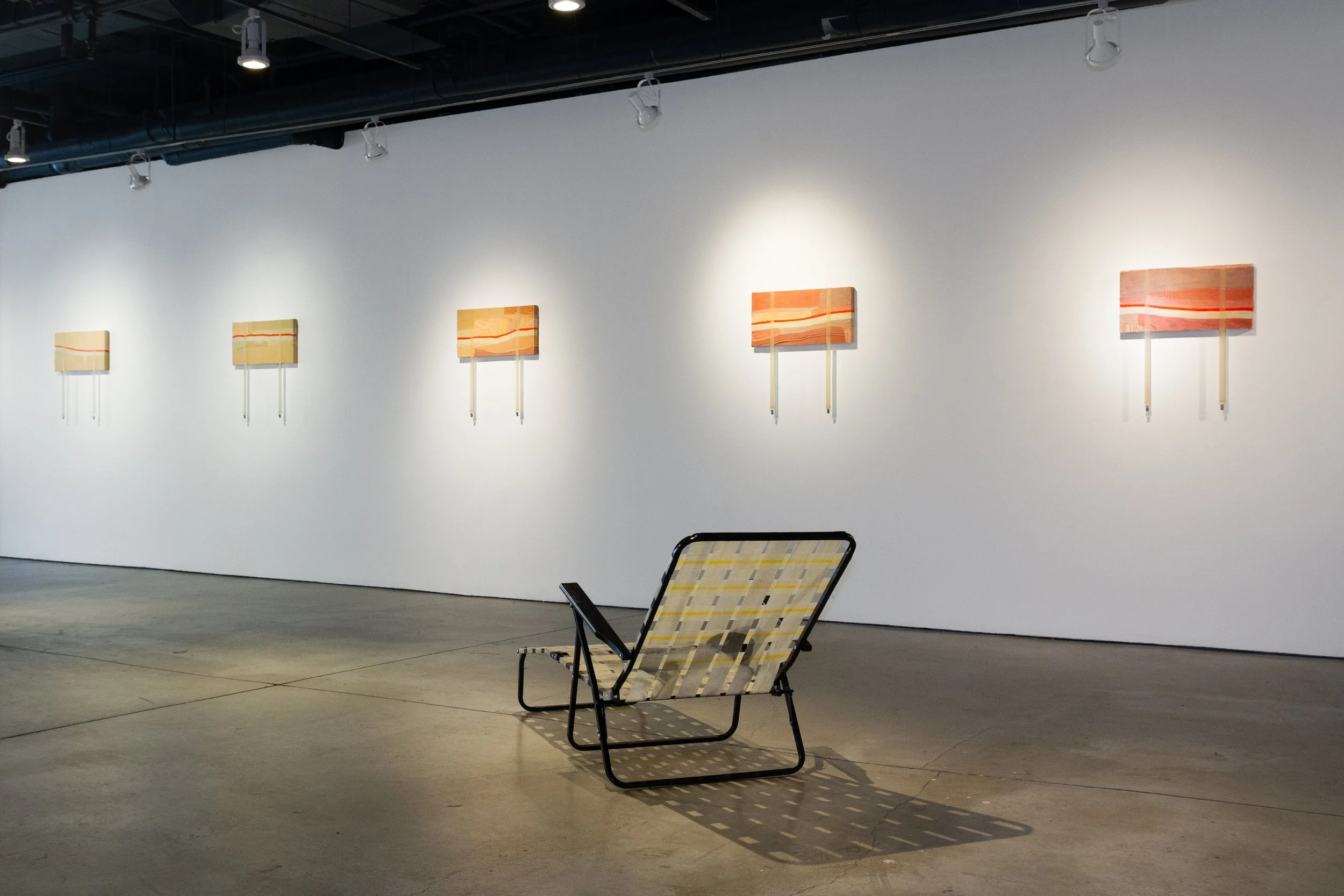 Installation view of "Some Dissemblance Required" by Andrius Alvarez-Backus