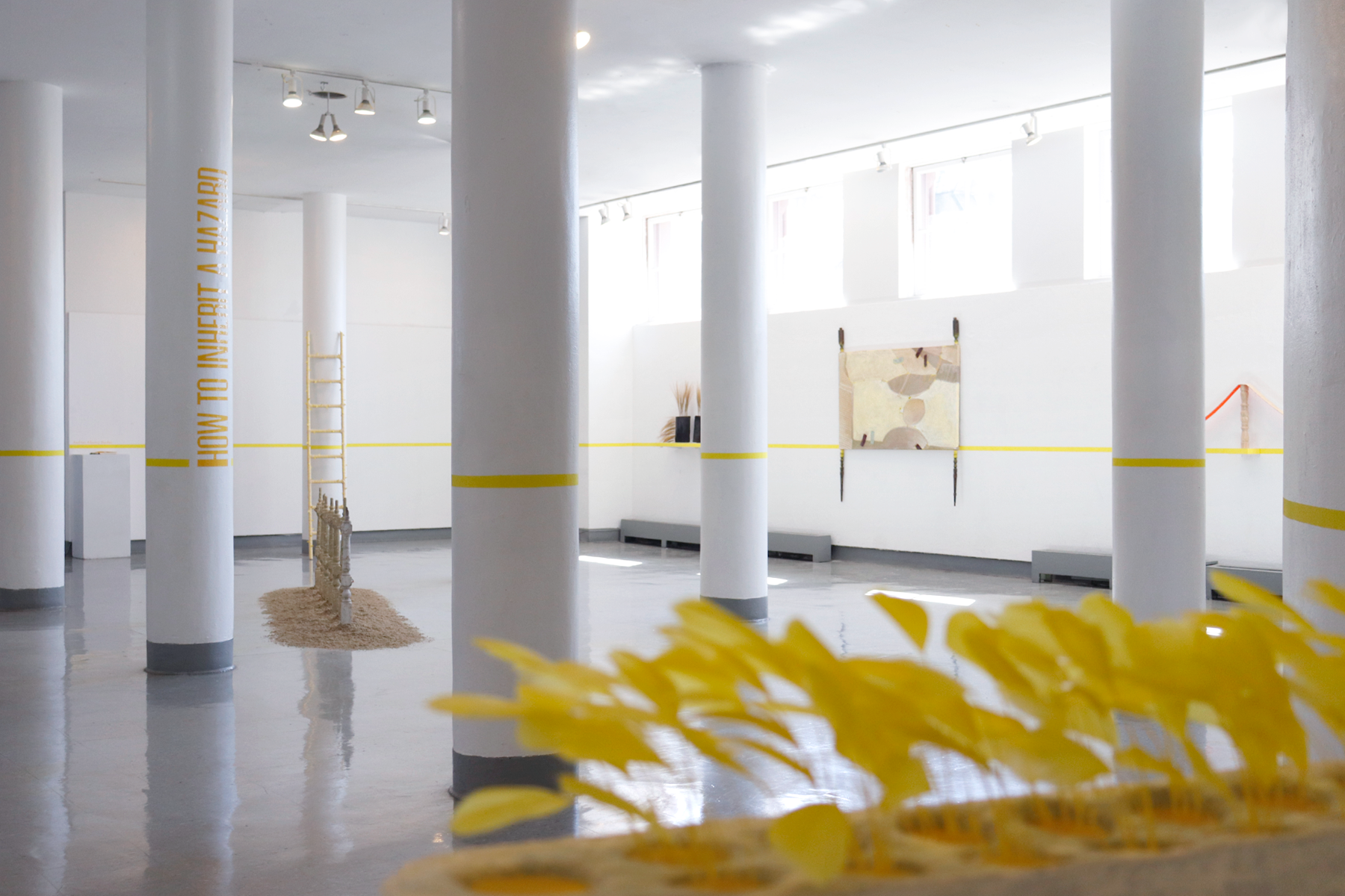 Installation view of "How to Inherit a Hazard" by Andrius Alvarez-Backus