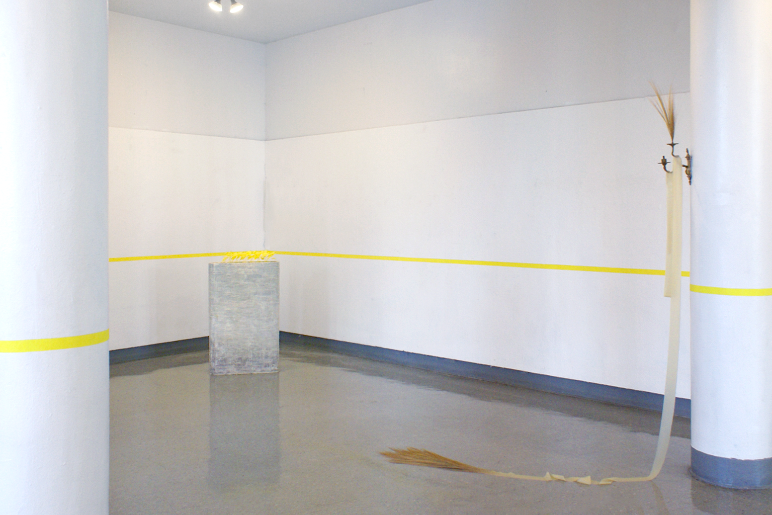 Installation view of "How to Inherit a Hazard" by Andrius Alvarez-Backus