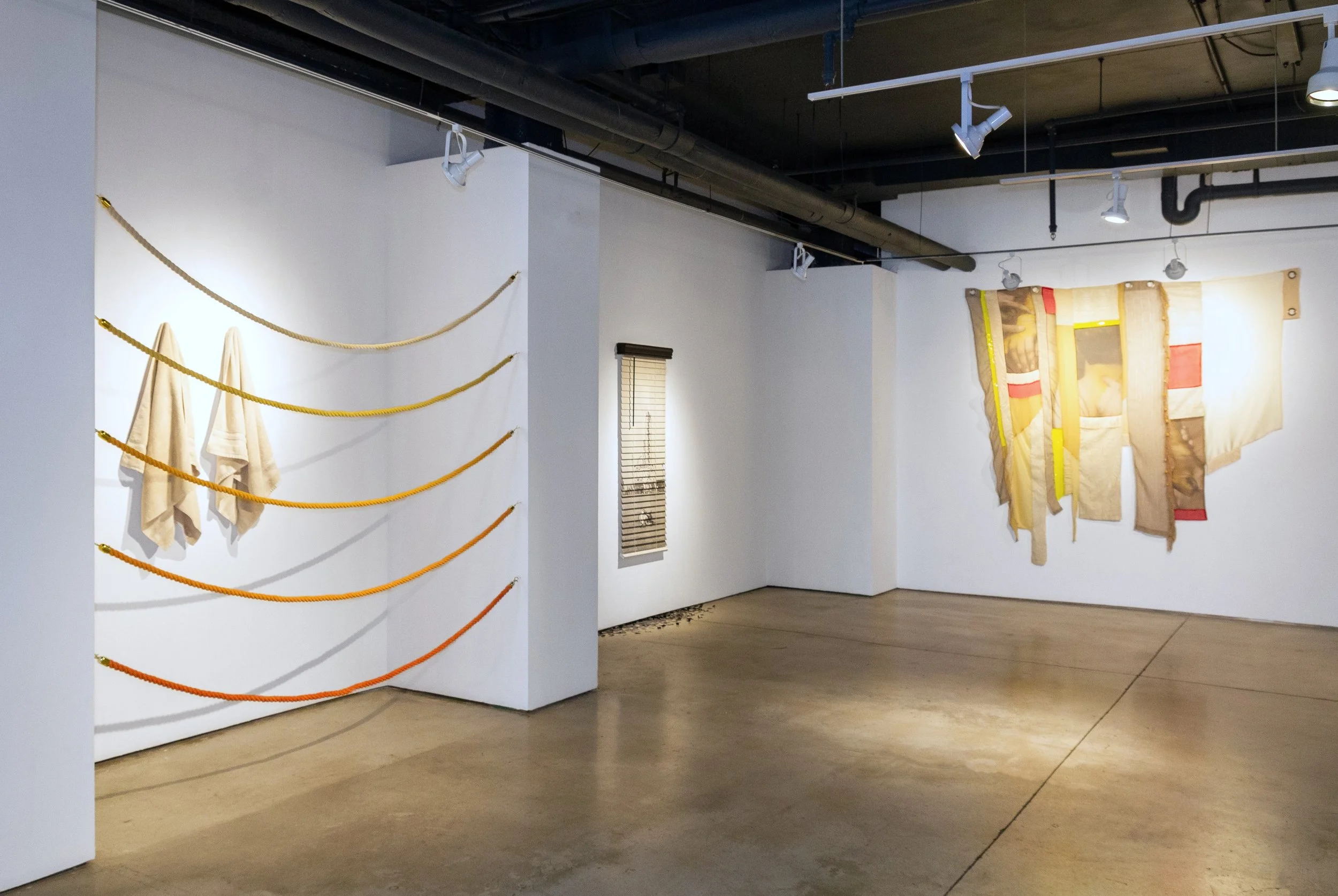 Installation view of "Some Dissemblance Required" by Andrius Alvarez-Backus