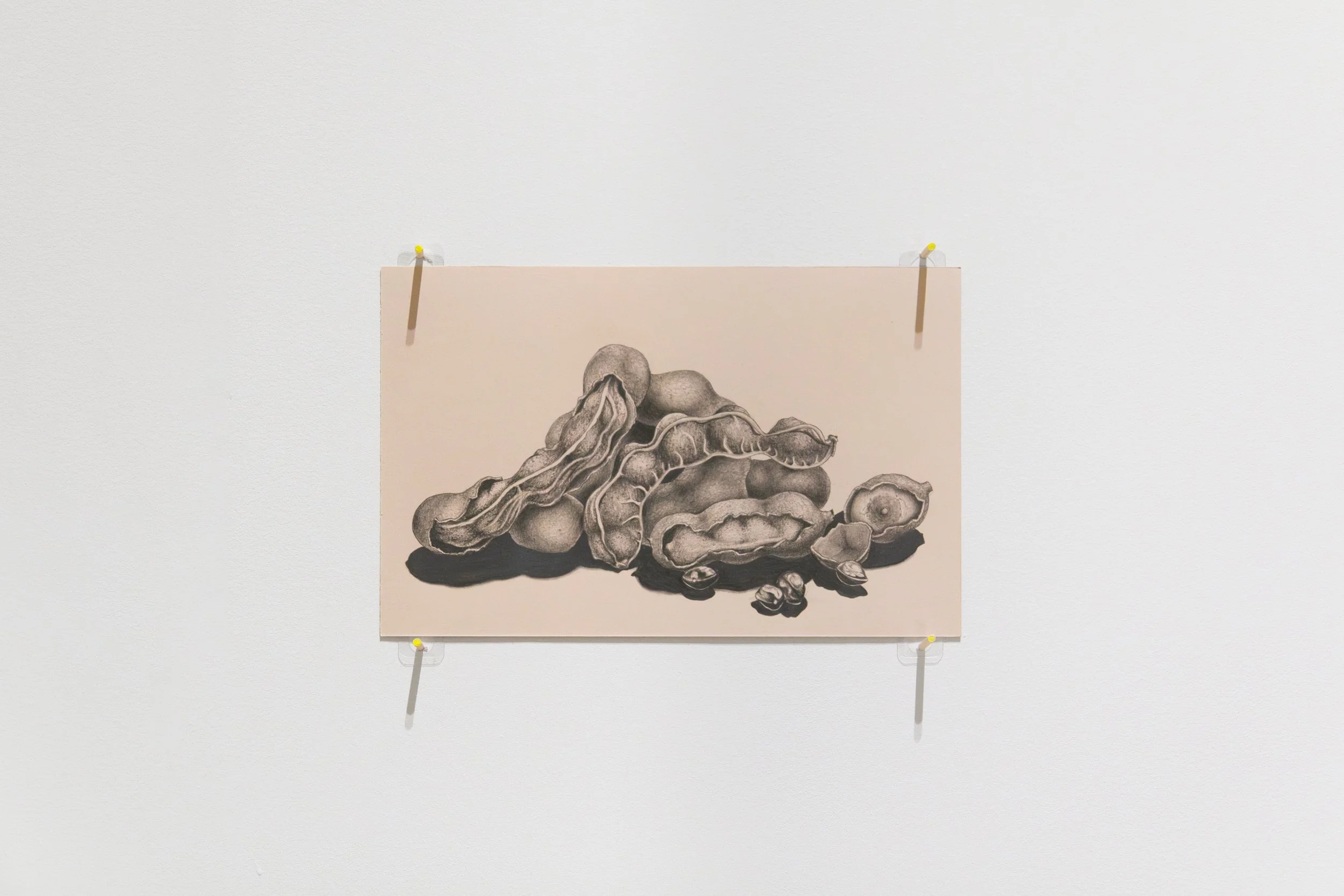 The drawing, "Bury Me" by Andrius Alvarez-Backus