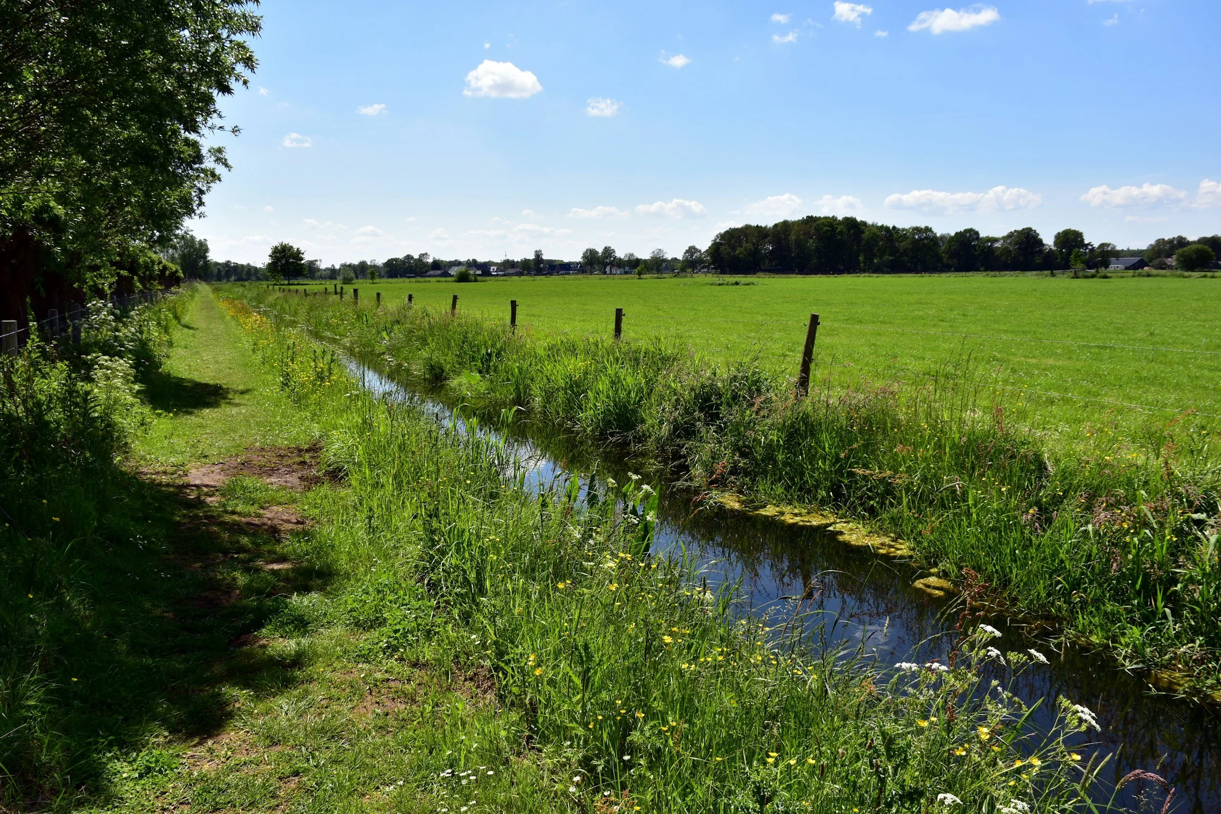 A rural landscape with a grassy dirt path on the left, a narrow stream running parallel, green fields, trees, and a partly cloudy sky.
