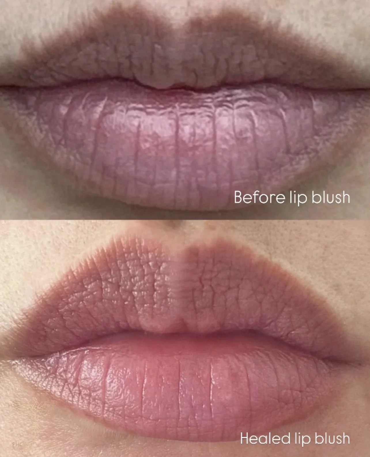 lip-blush-san-francisco