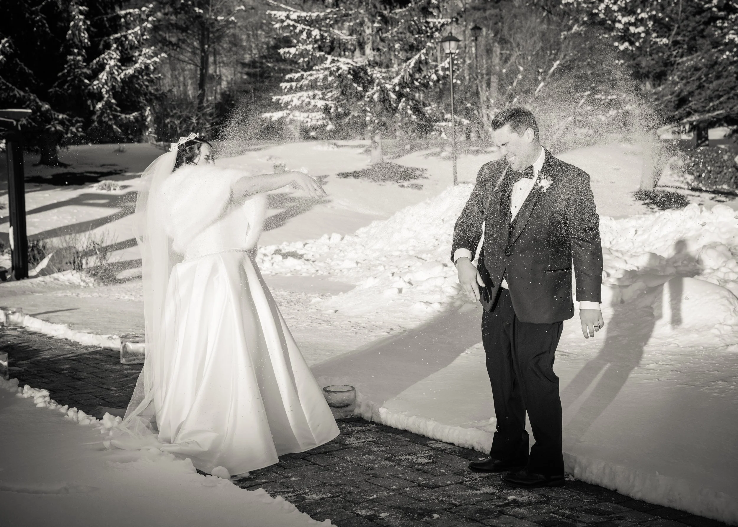 nelson snow pagoda pic 11.jpg