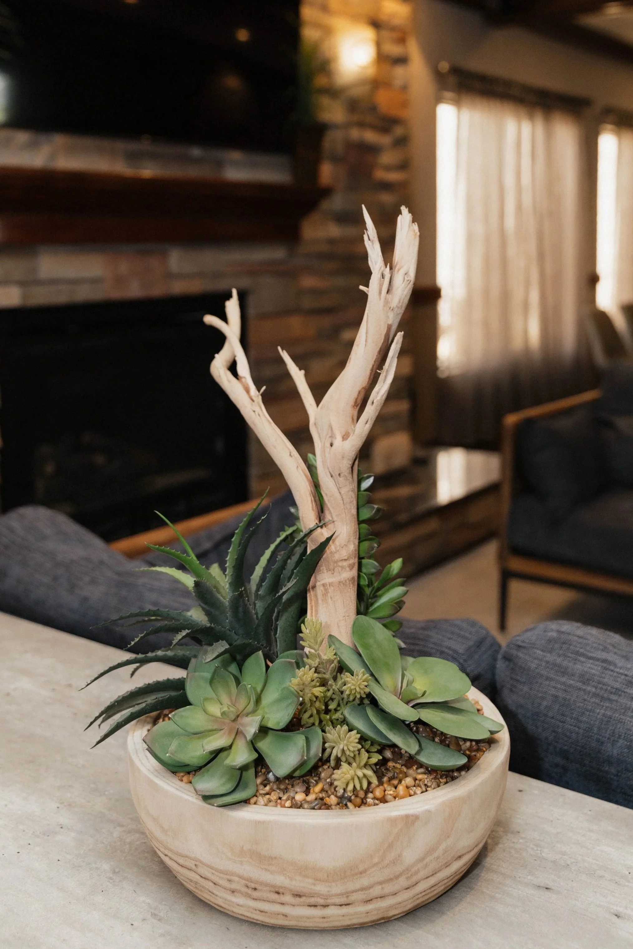 Pot of succulents with a piece of driftwood arranged in a decorative indoor setting.