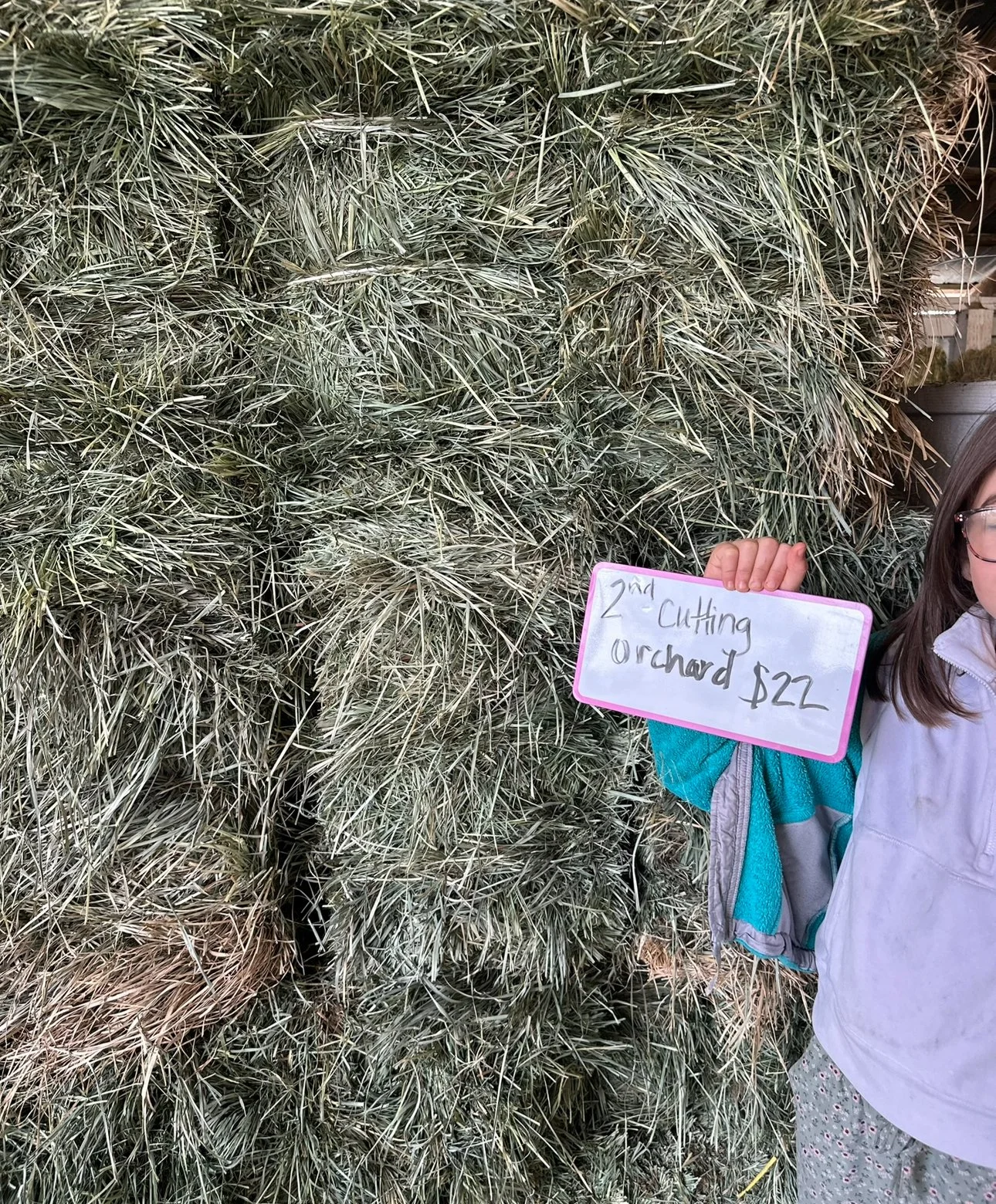 2nd Cutting Low Sugar Orchard