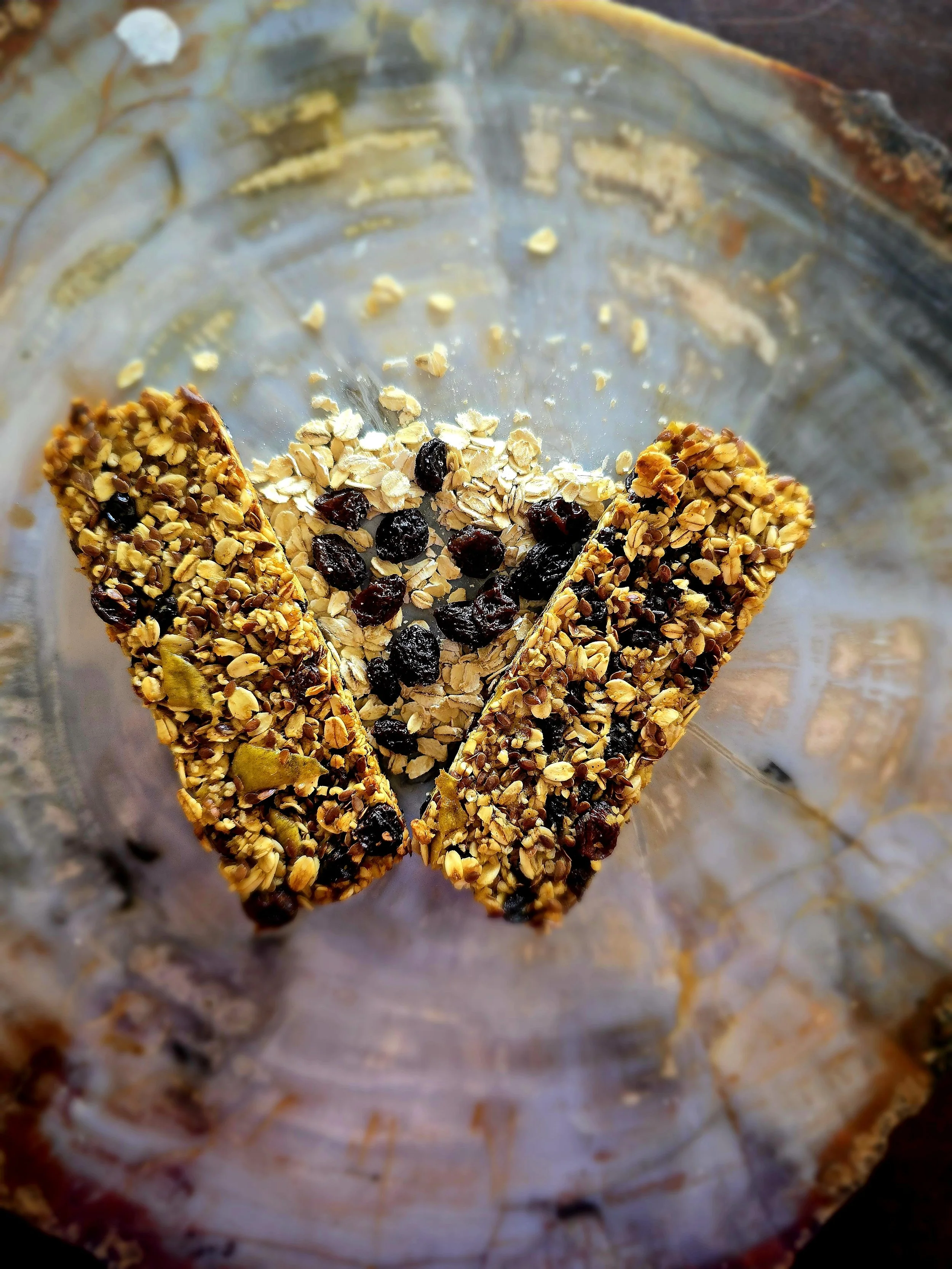 Chewy Oatmeal Raisin Granola Bar