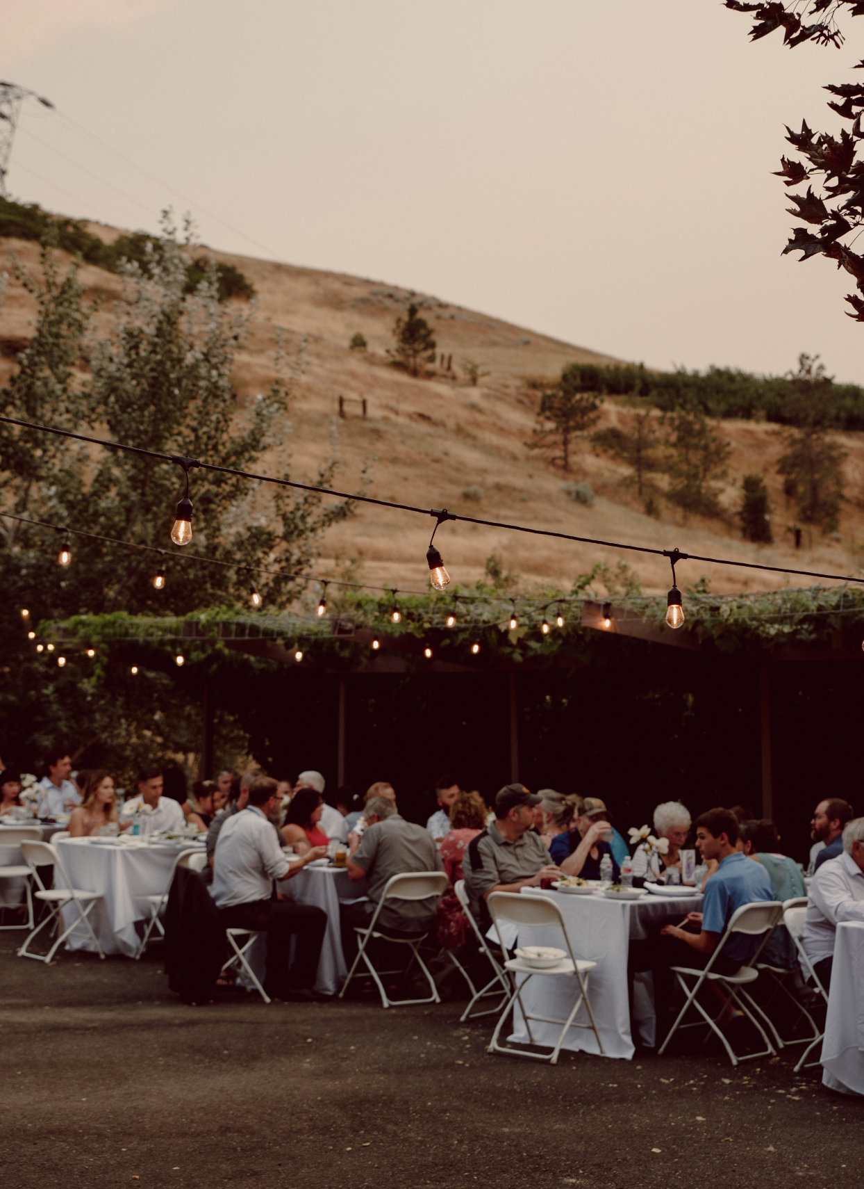 Screenshot 2025-06-21 at 6.25.23 PM.png