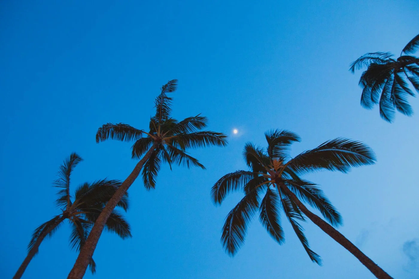 Courtney EJ Wedding-ed-0111.jpg