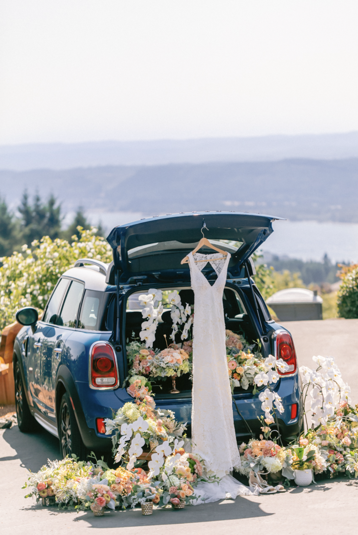 Screenshot 2025-02-01 at 11.00.02 AM.png