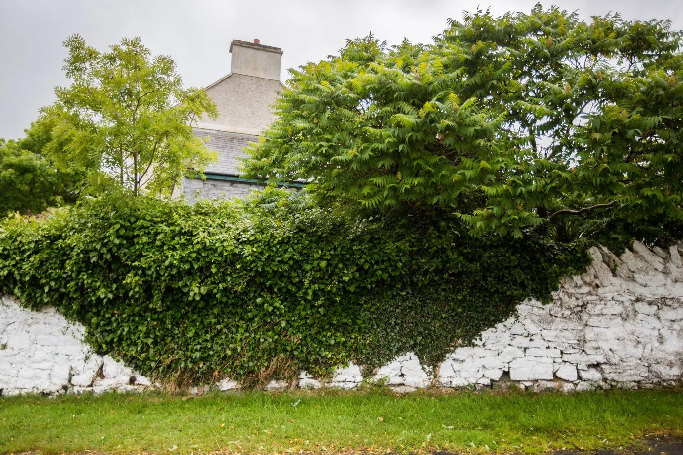 Caitlin Ed Wedding-ed-0049.jpg