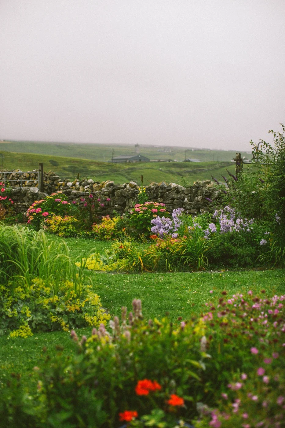 Caitlin Ed Wedding-ed-0117 (1).jpg