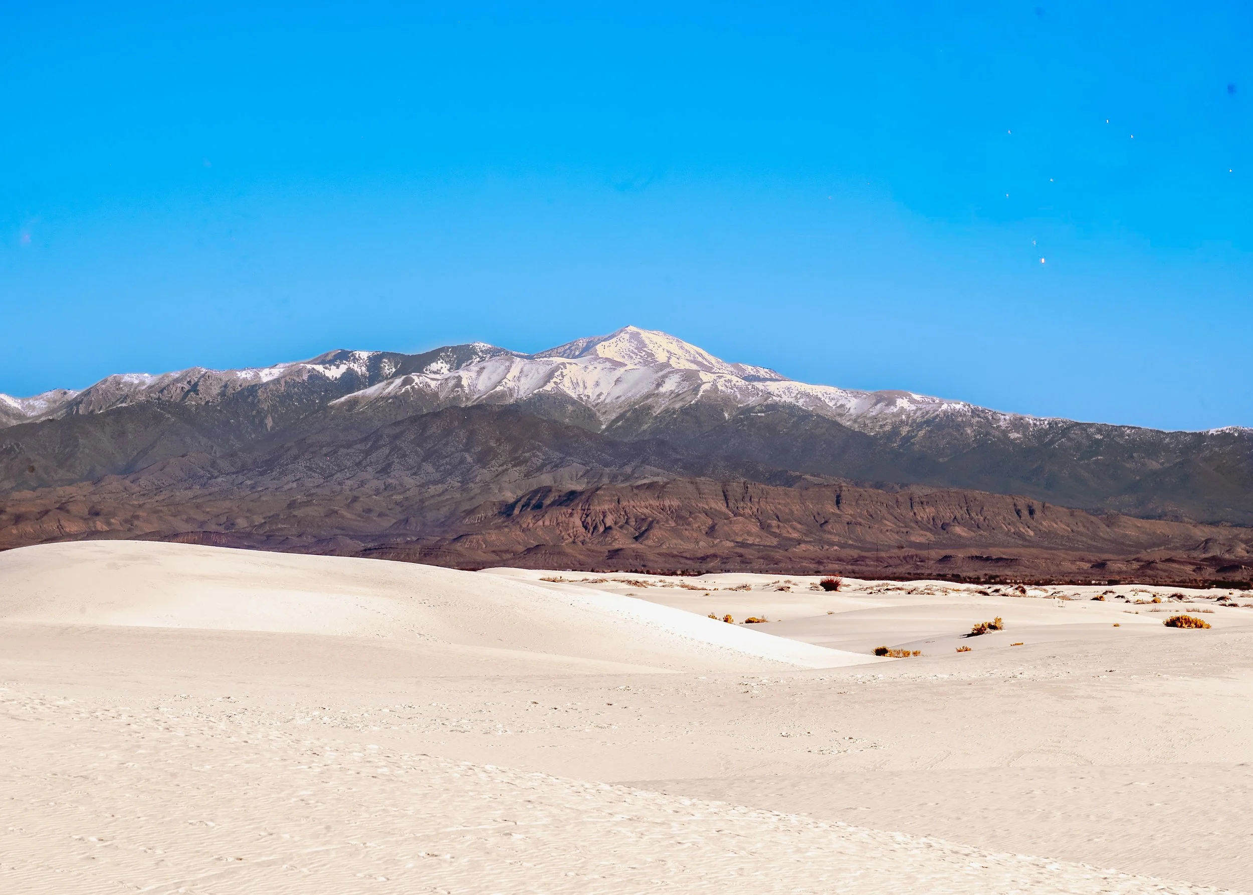 new mexico (7 of 7).jpg