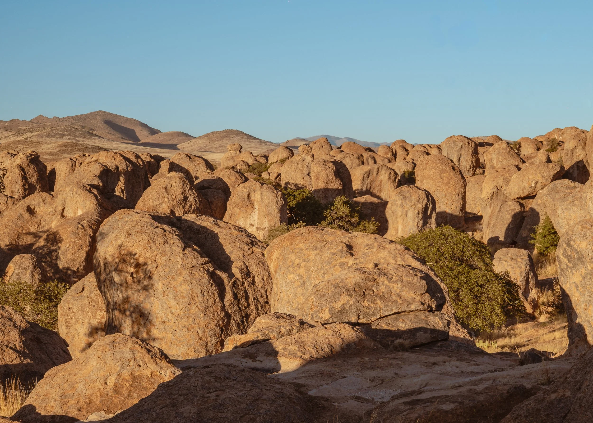 new mexico (6 of 7).jpg