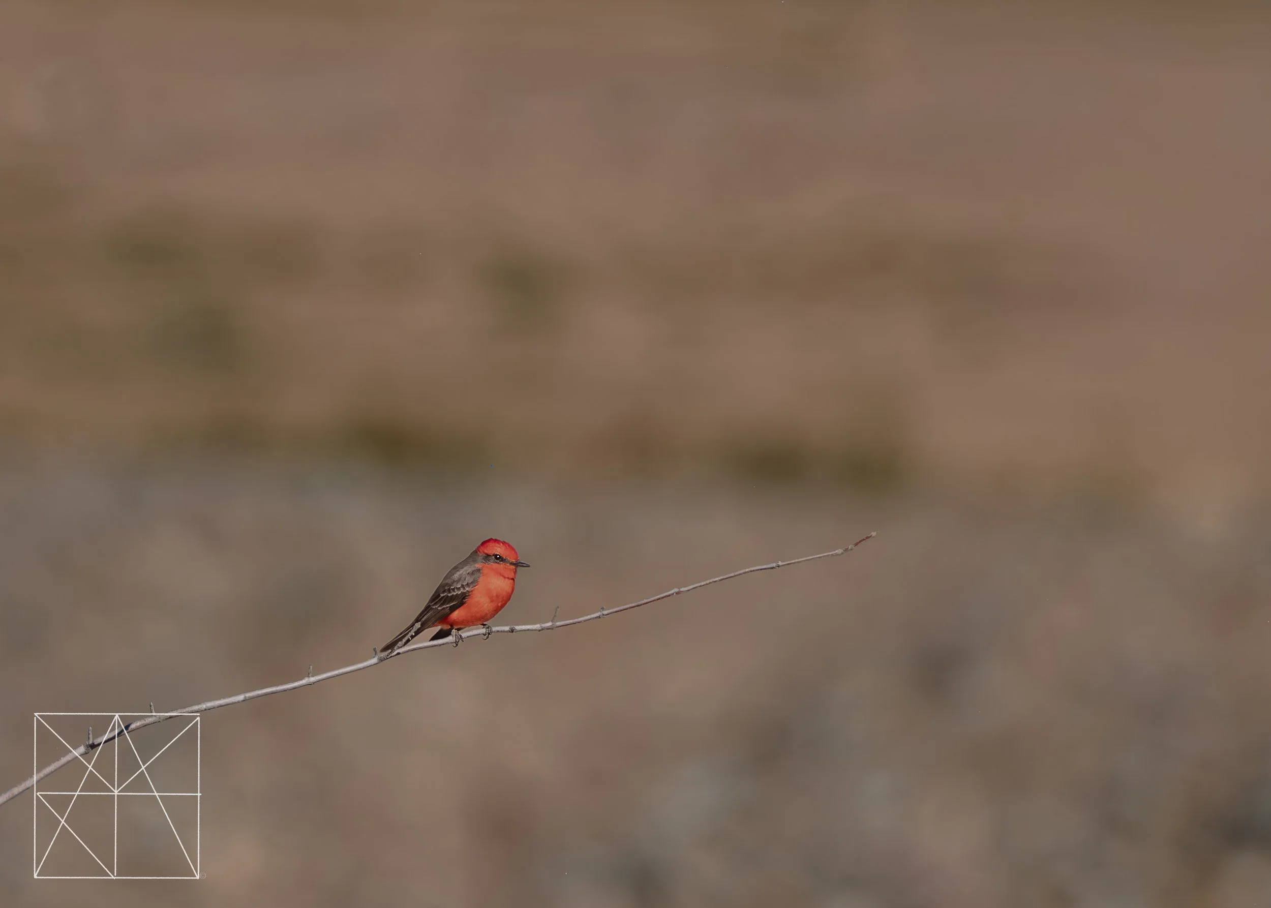 new mexico (8 of 8).jpg
