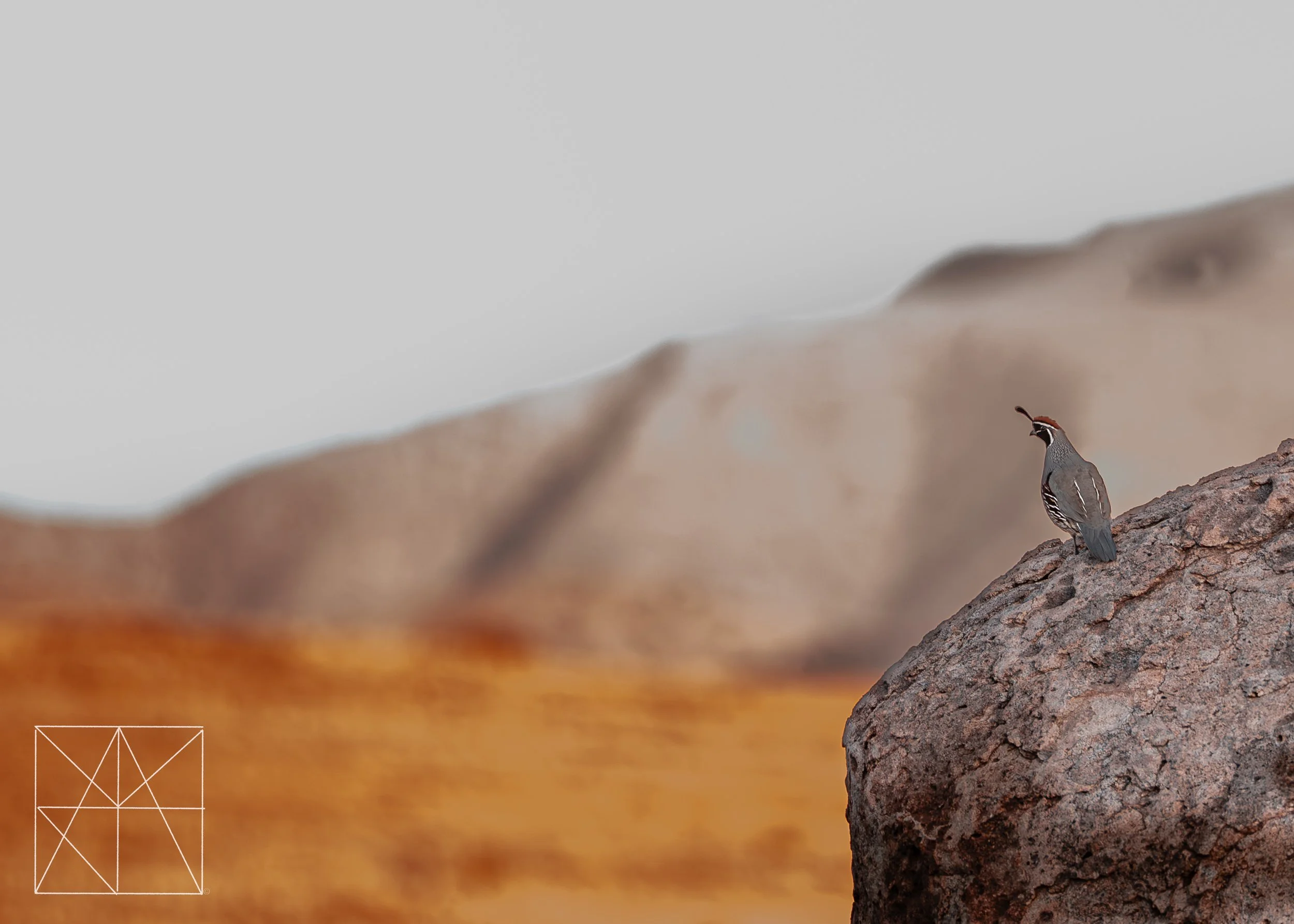 new mexico (5 of 8).jpg