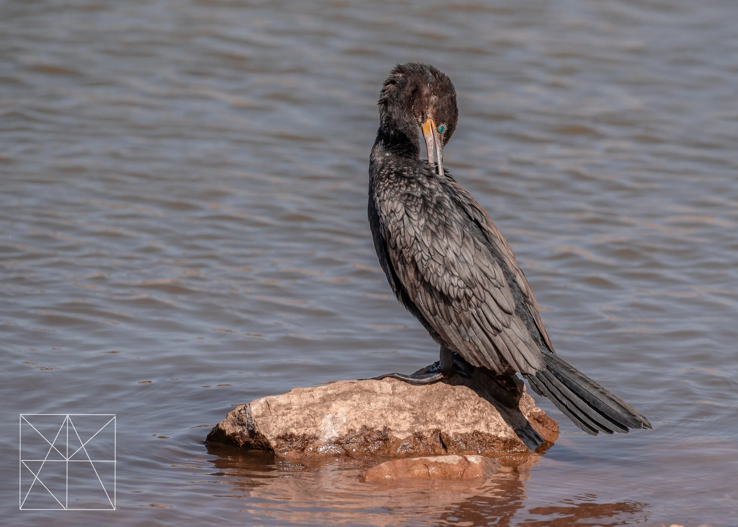new mexico (1 of 8).jpg