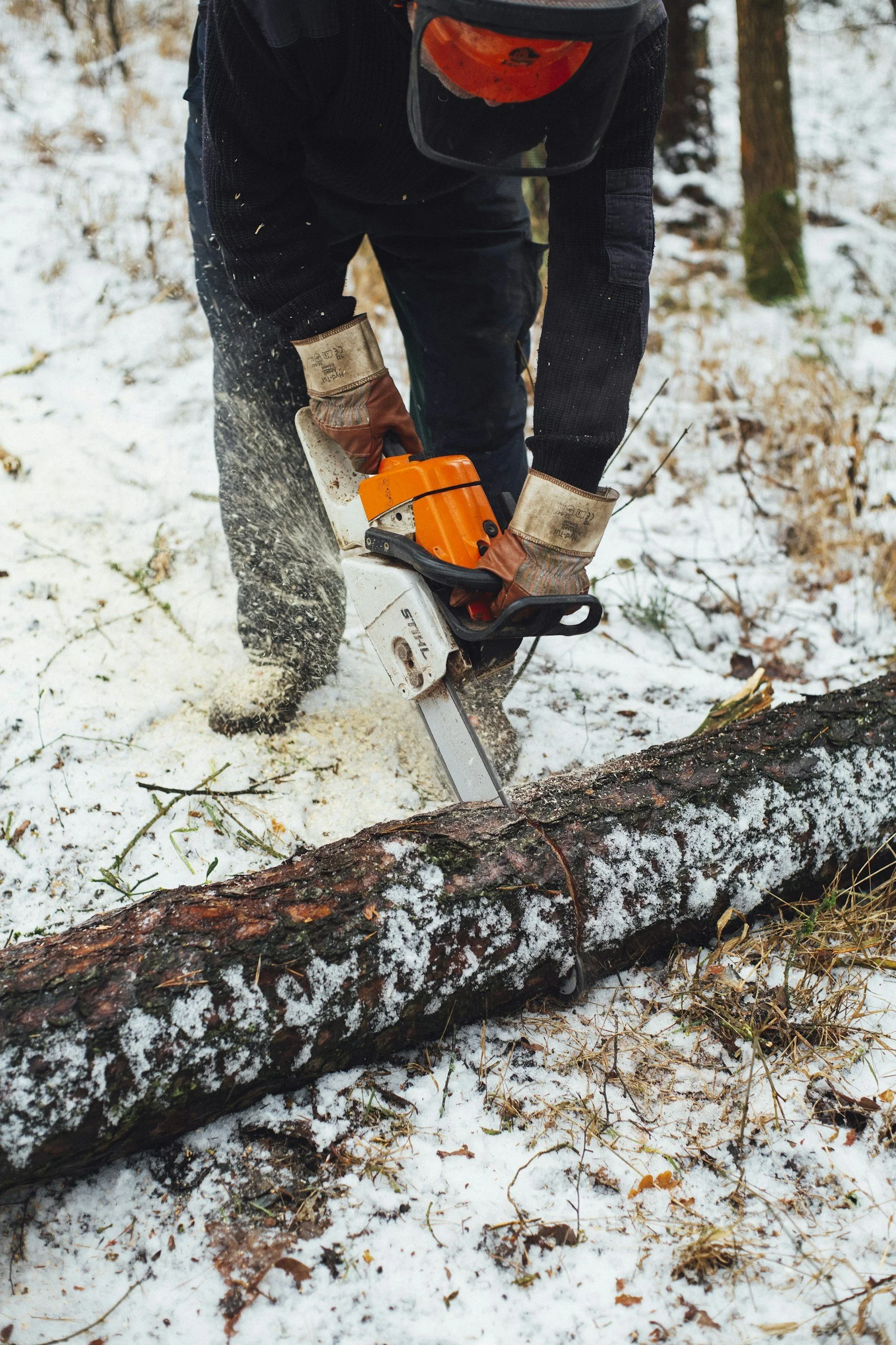 Person cutting a fallen tree with a chainsaw in a snowy forest.