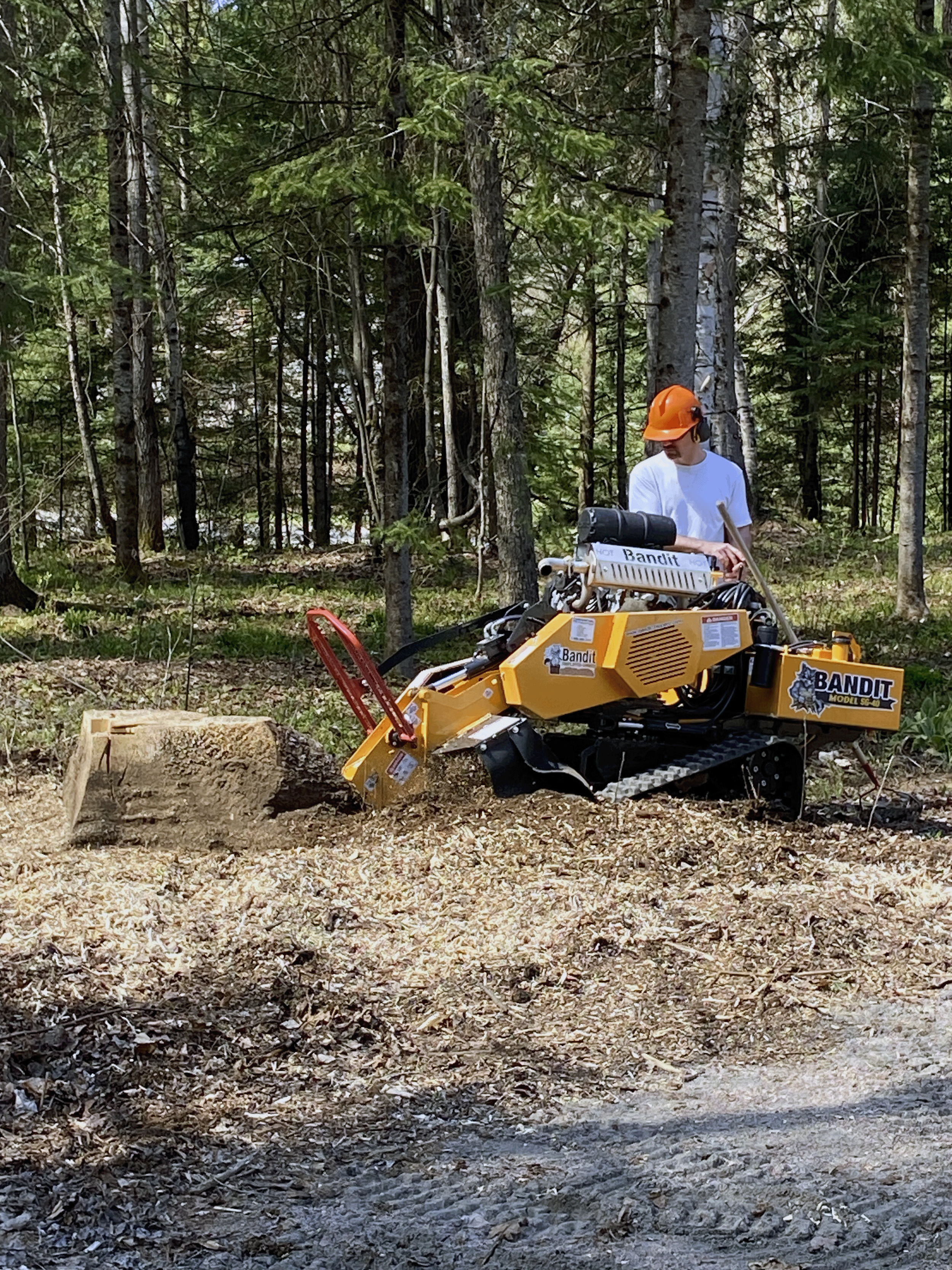 Stumpin tom forestry services stump grinding