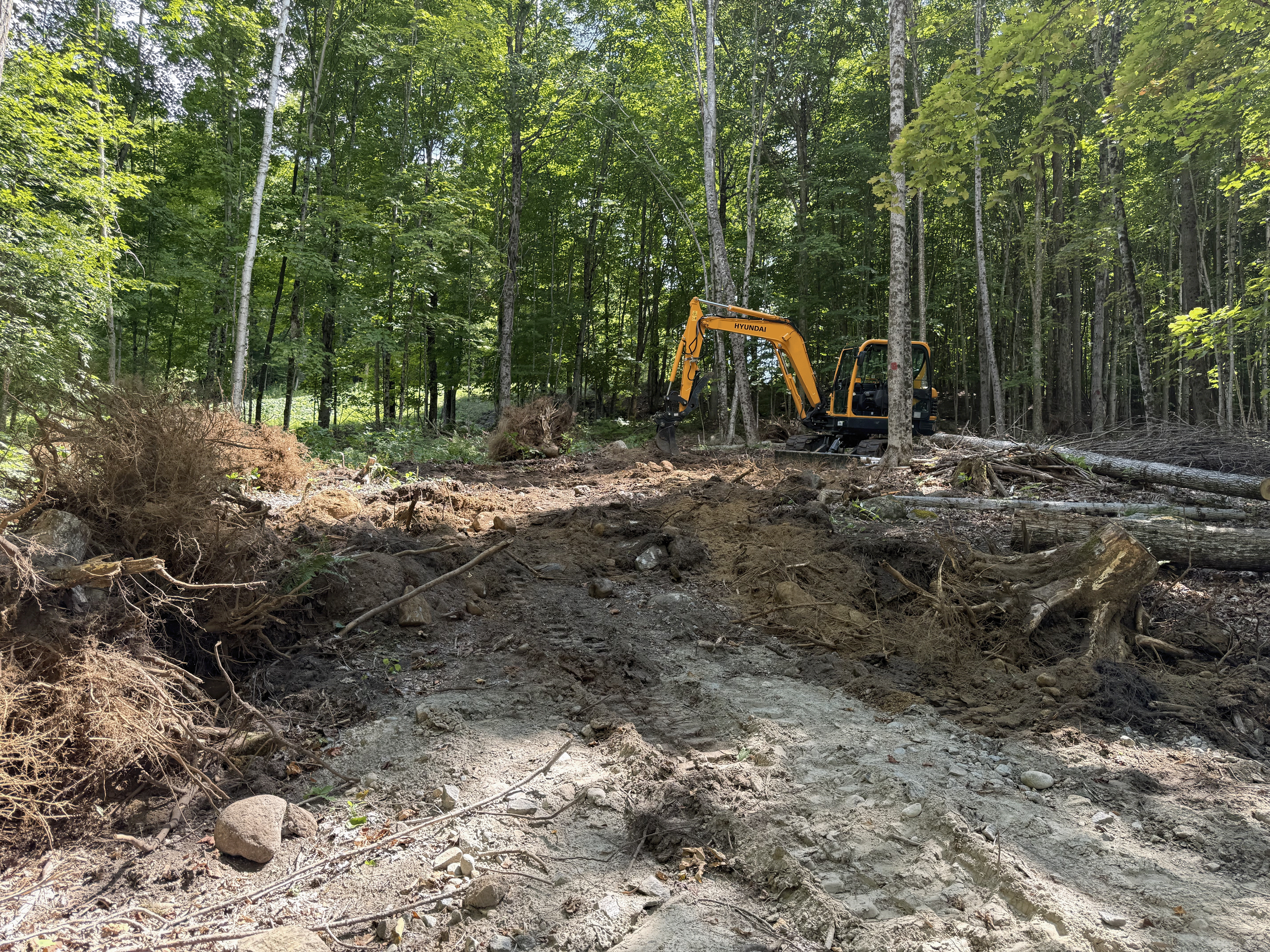 A yellow Hyundai excavator working on clear-cutting a forest, with dirt and tree roots in the foreground and a dense green forest in the background.
