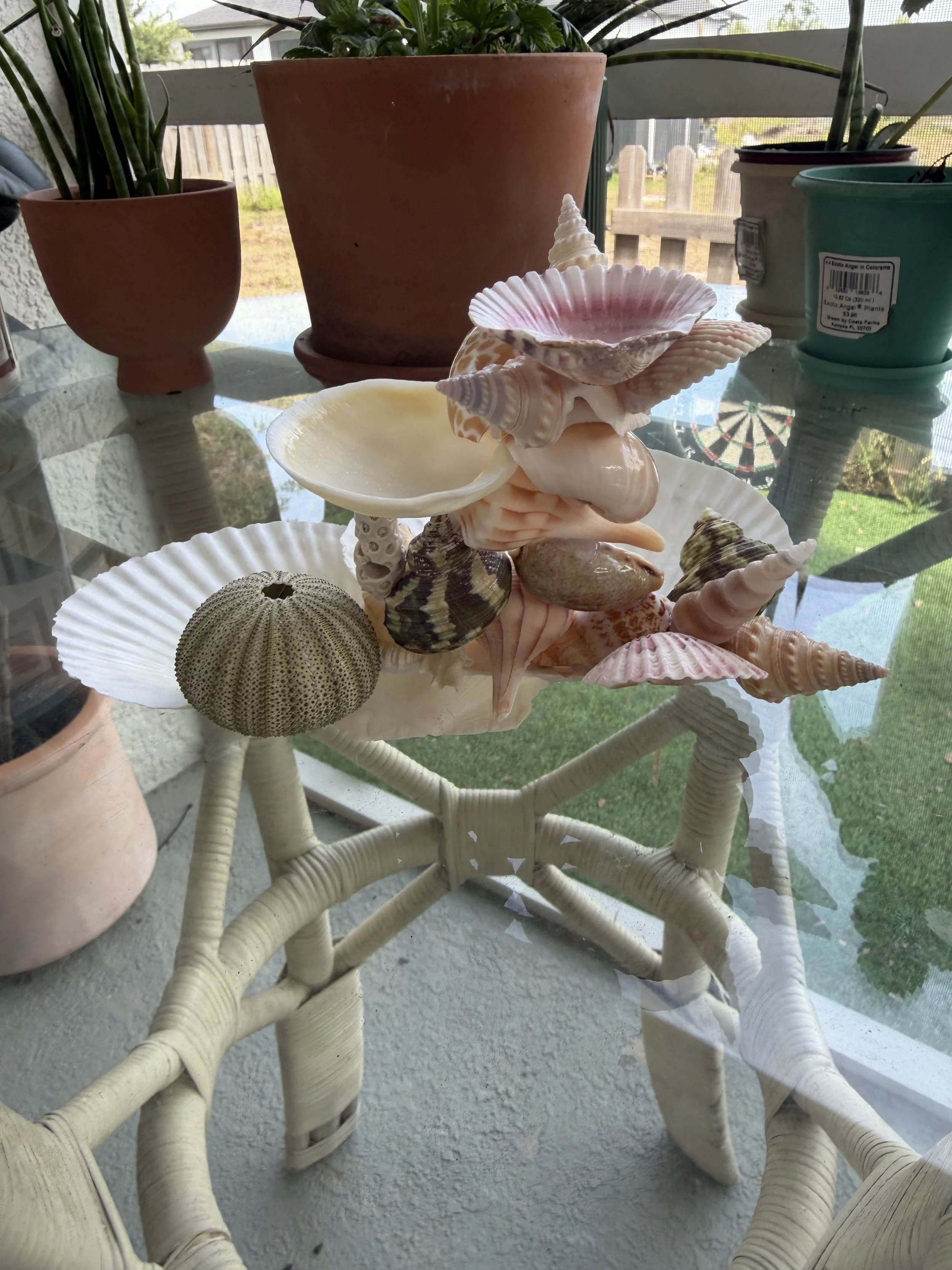 IMG_1493.jpeg
