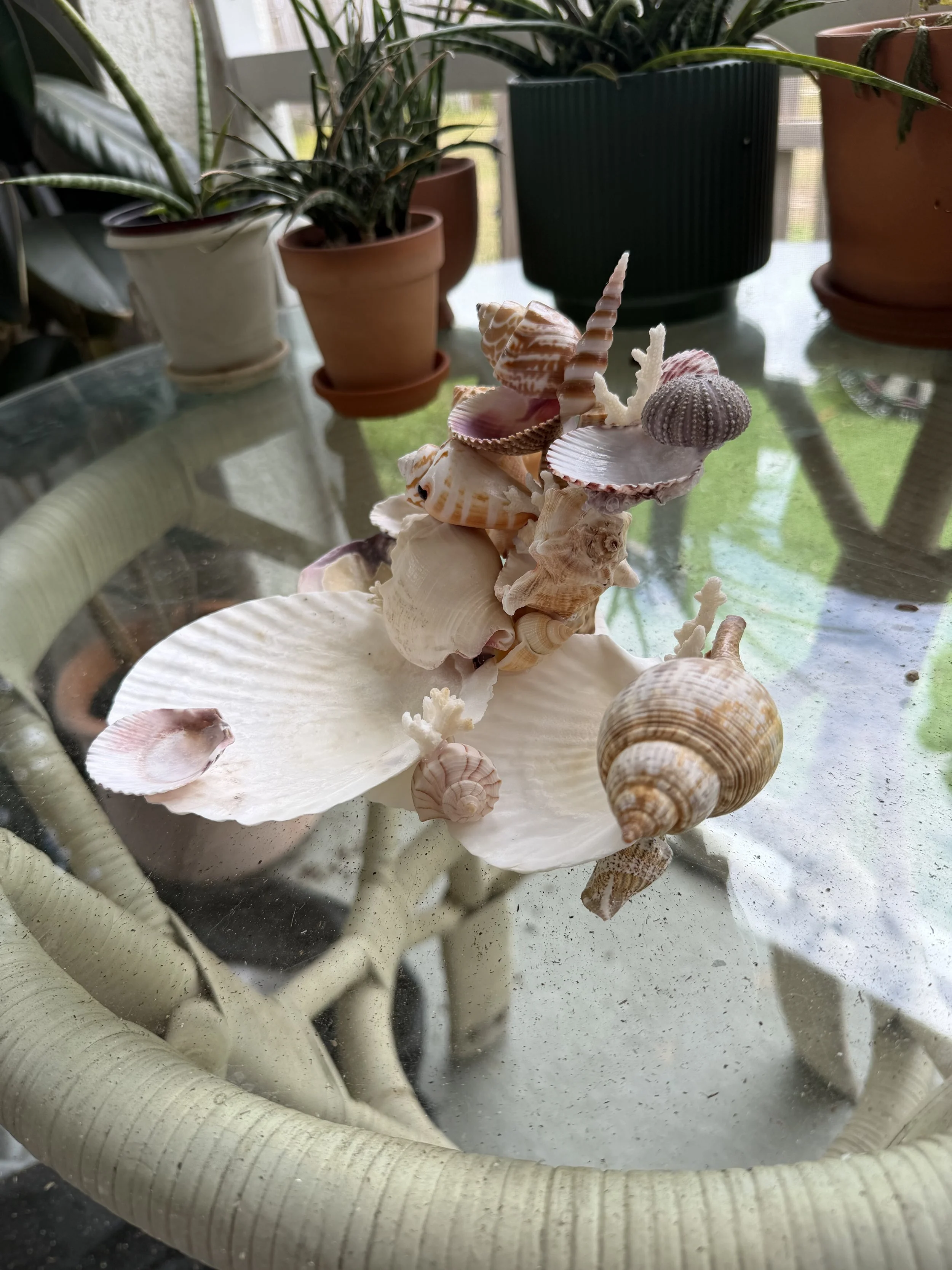 IMG_1974.jpeg