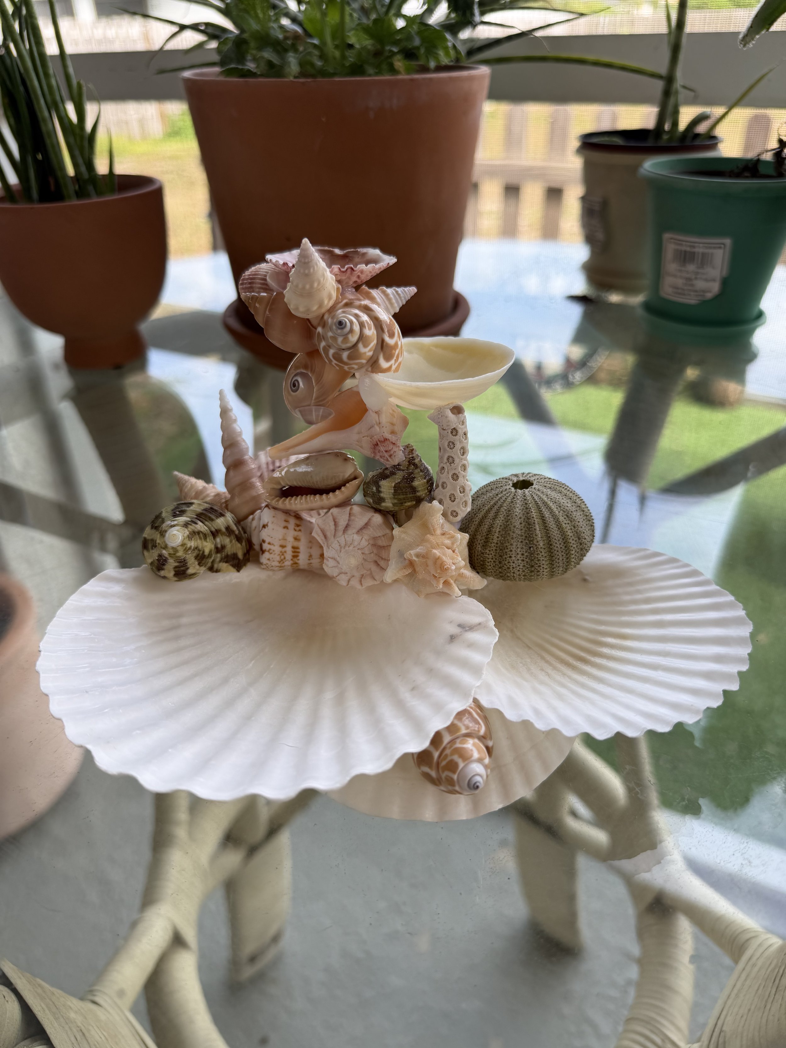 Urchin Petal Seashell Jewelry Sculpture