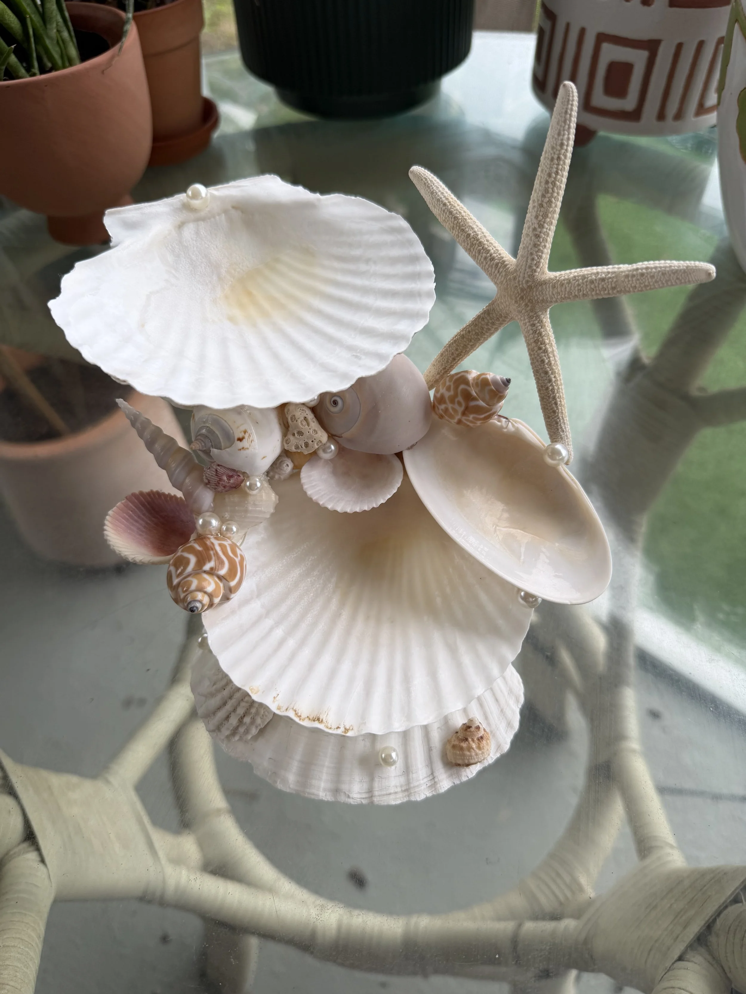 Pearl Cove Seashell Jewelry Sculpture