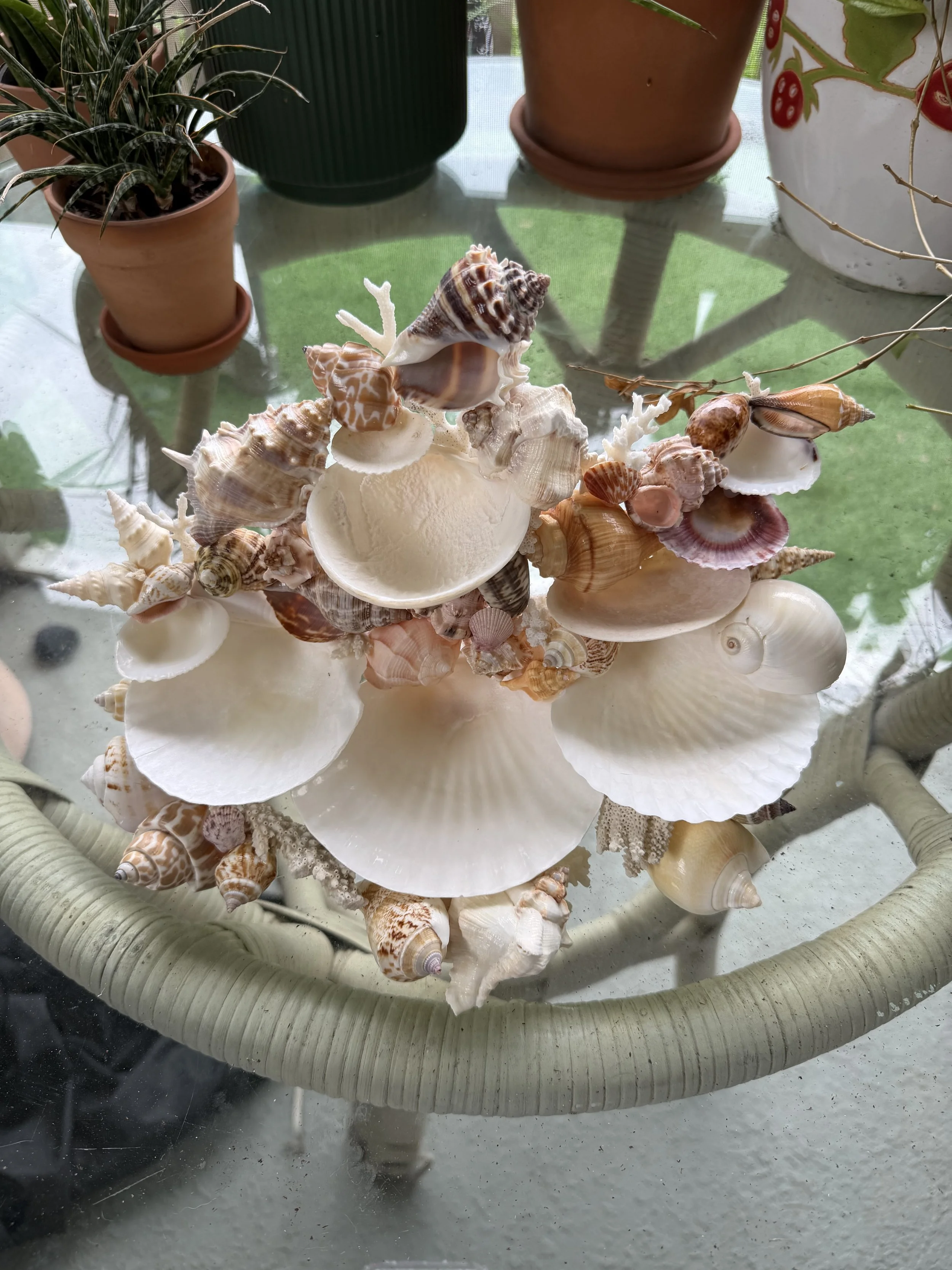 The Grand Seashell Jewelry Sculpture