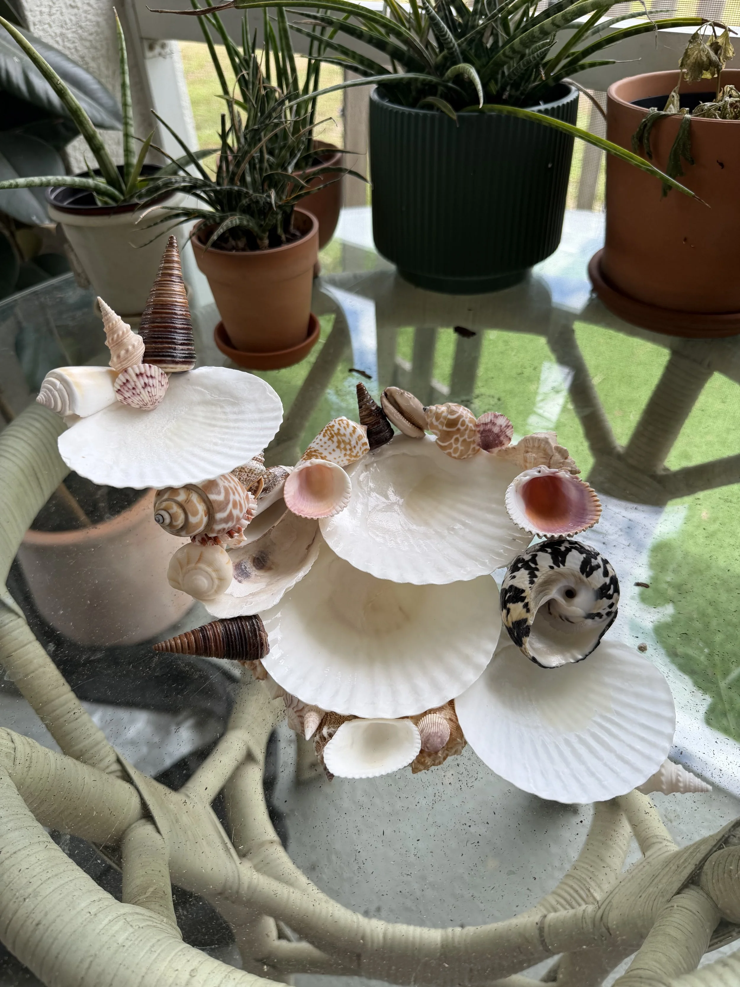Aureum Seashell Jewelry Sculpture