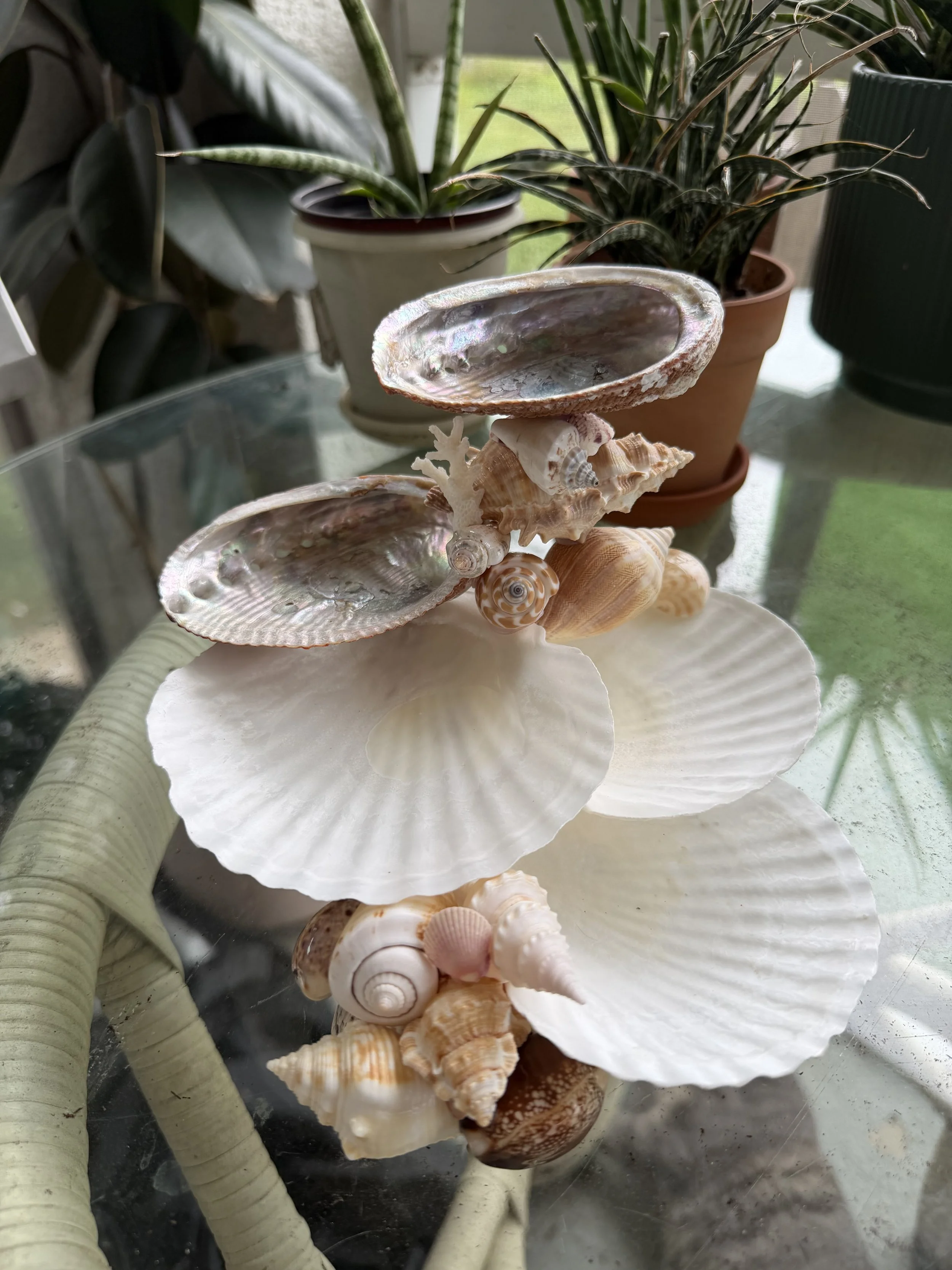 Abalone Petal Seashell Jewelry Sculpture