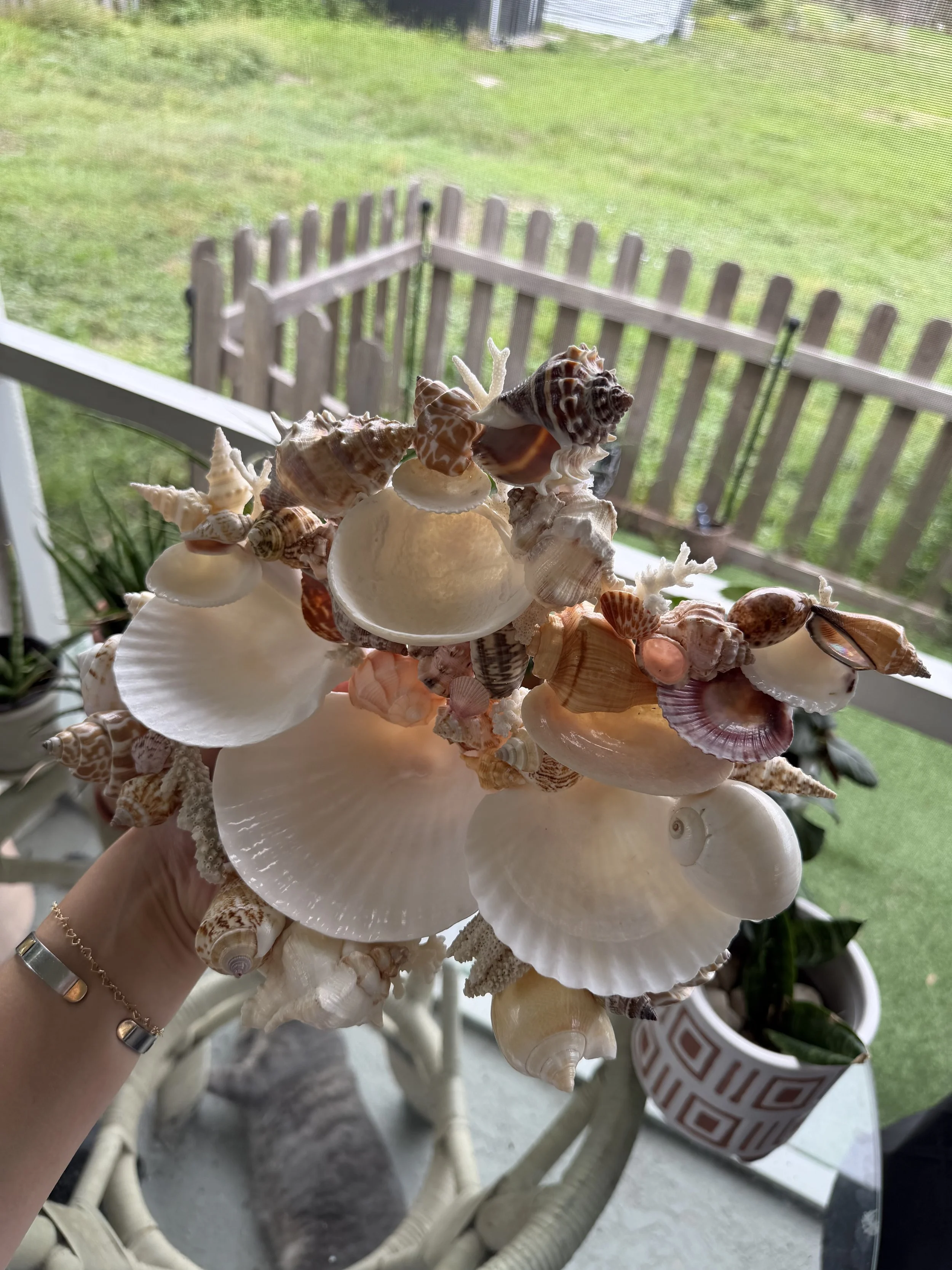 IMG_1864.jpeg