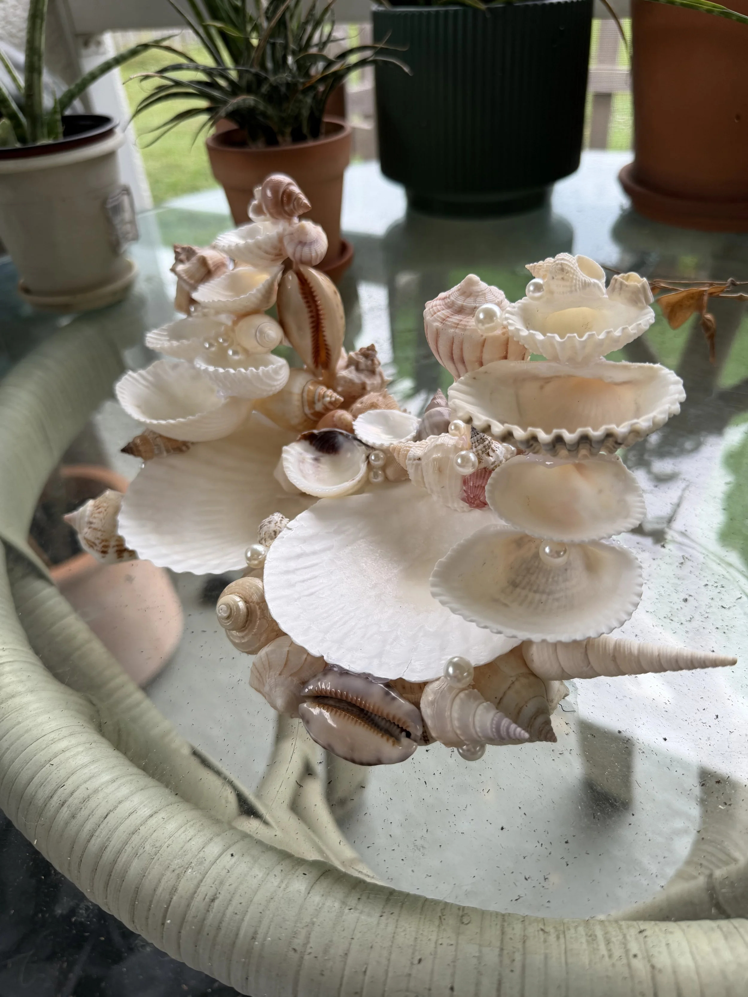 IMG_1808.jpeg