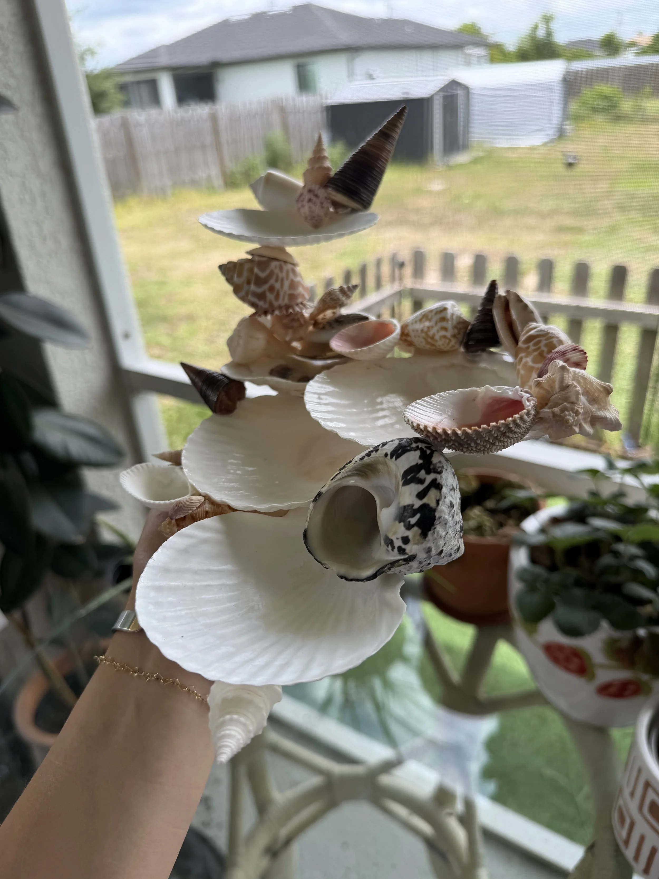 IMG_2001.jpeg