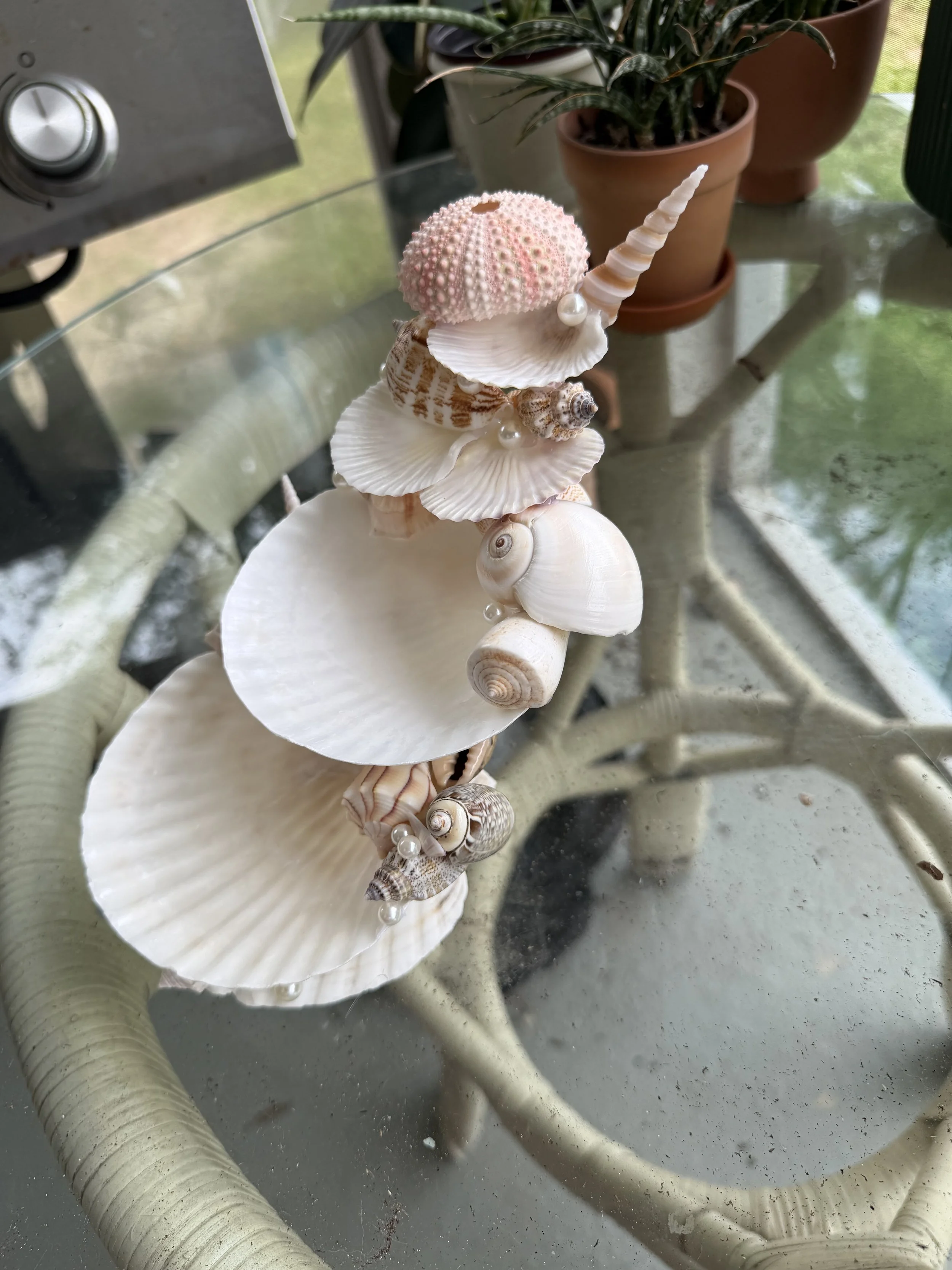 IMG_2007.jpeg