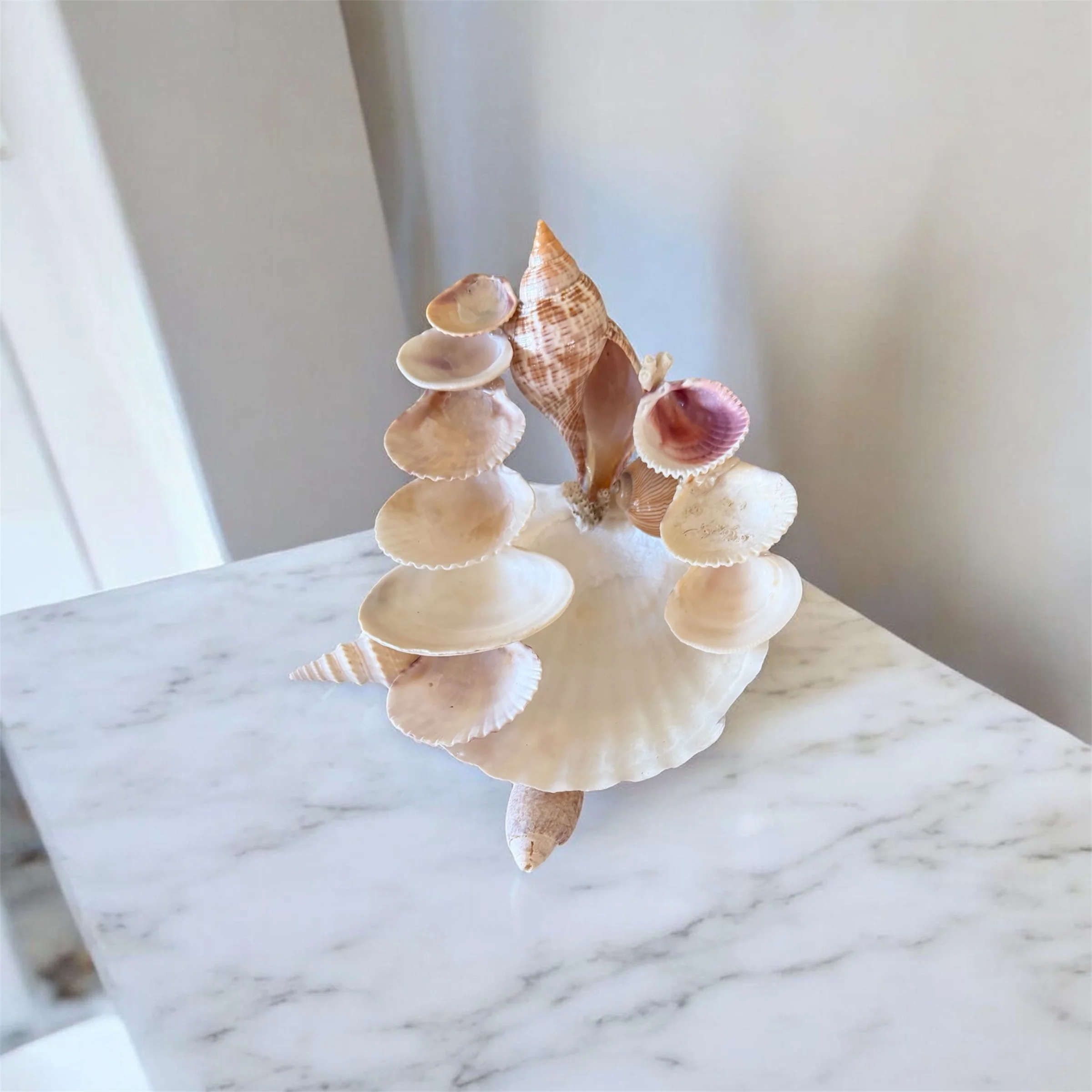 Curved Shell Jewelry Sculpture