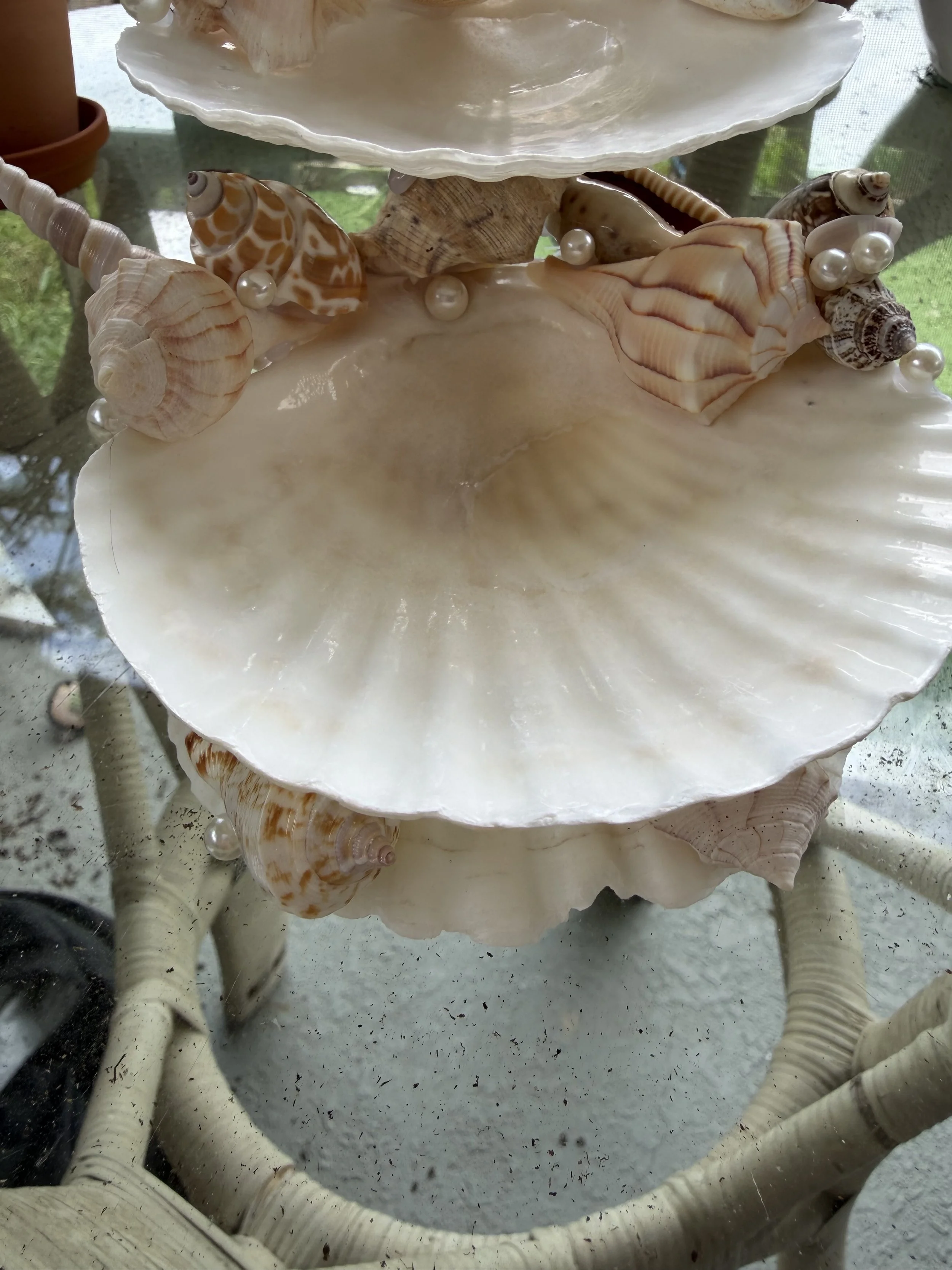 IMG_2010.jpeg