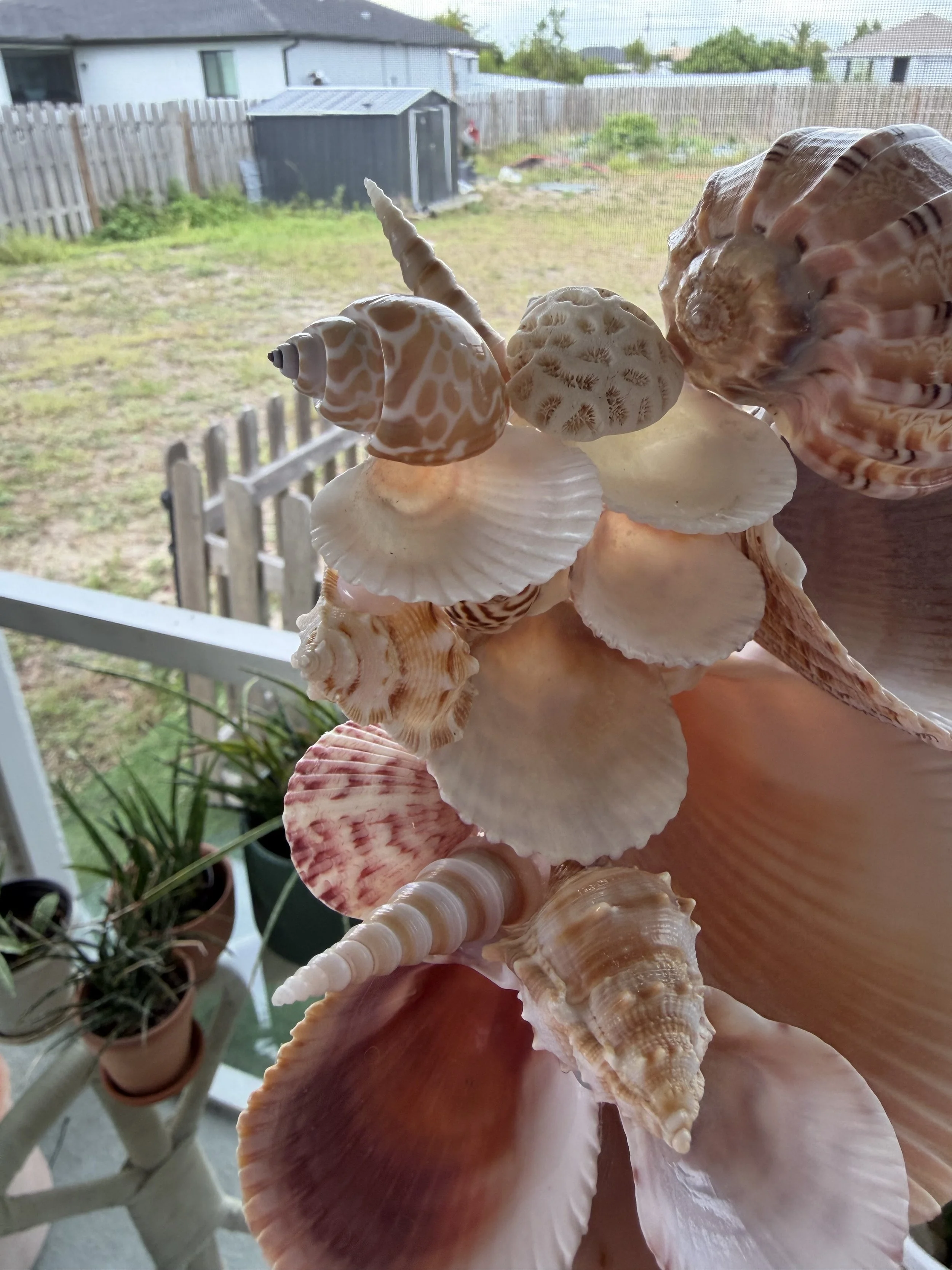 IMG_1548.jpeg