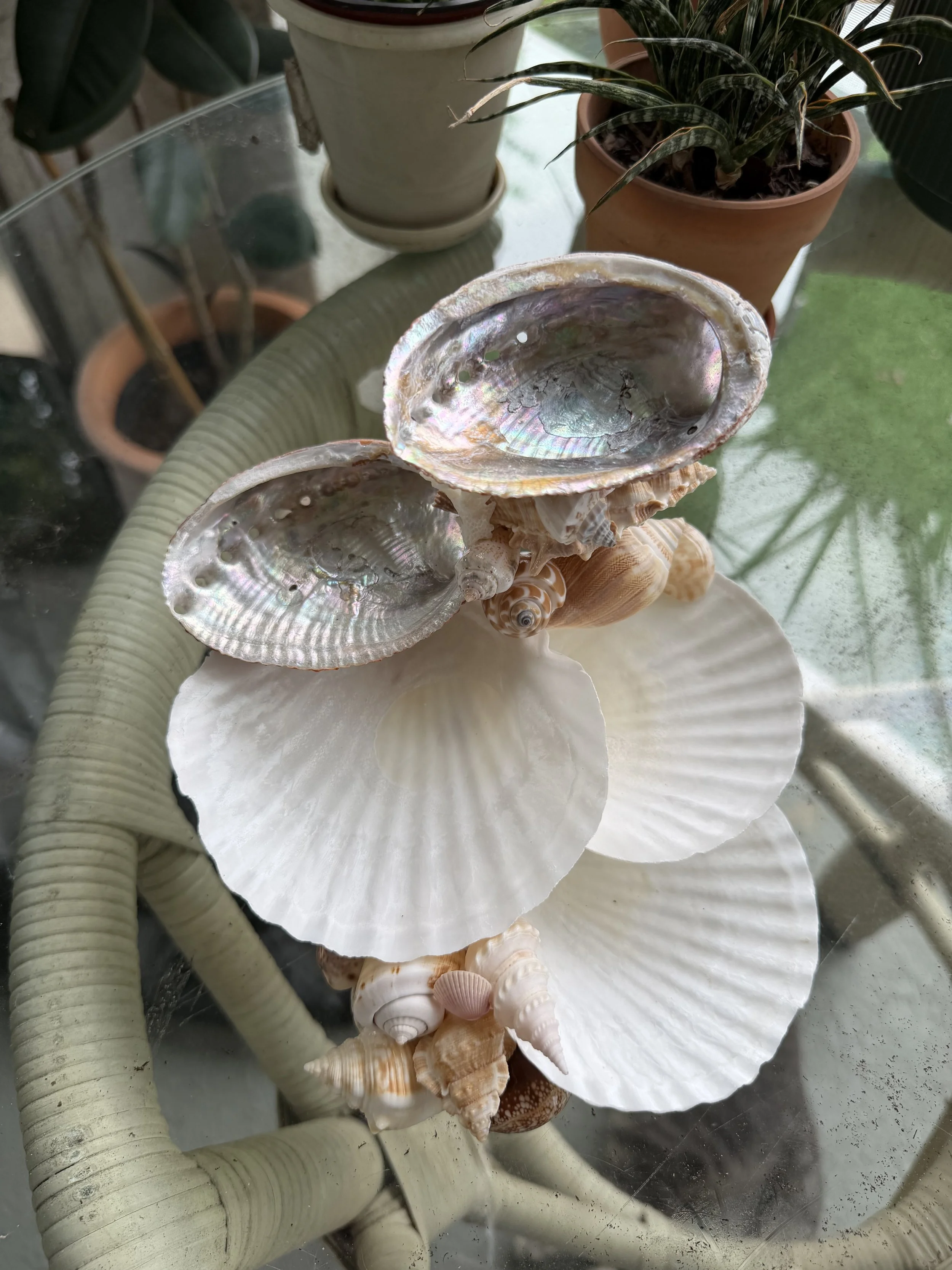IMG_1868.jpeg