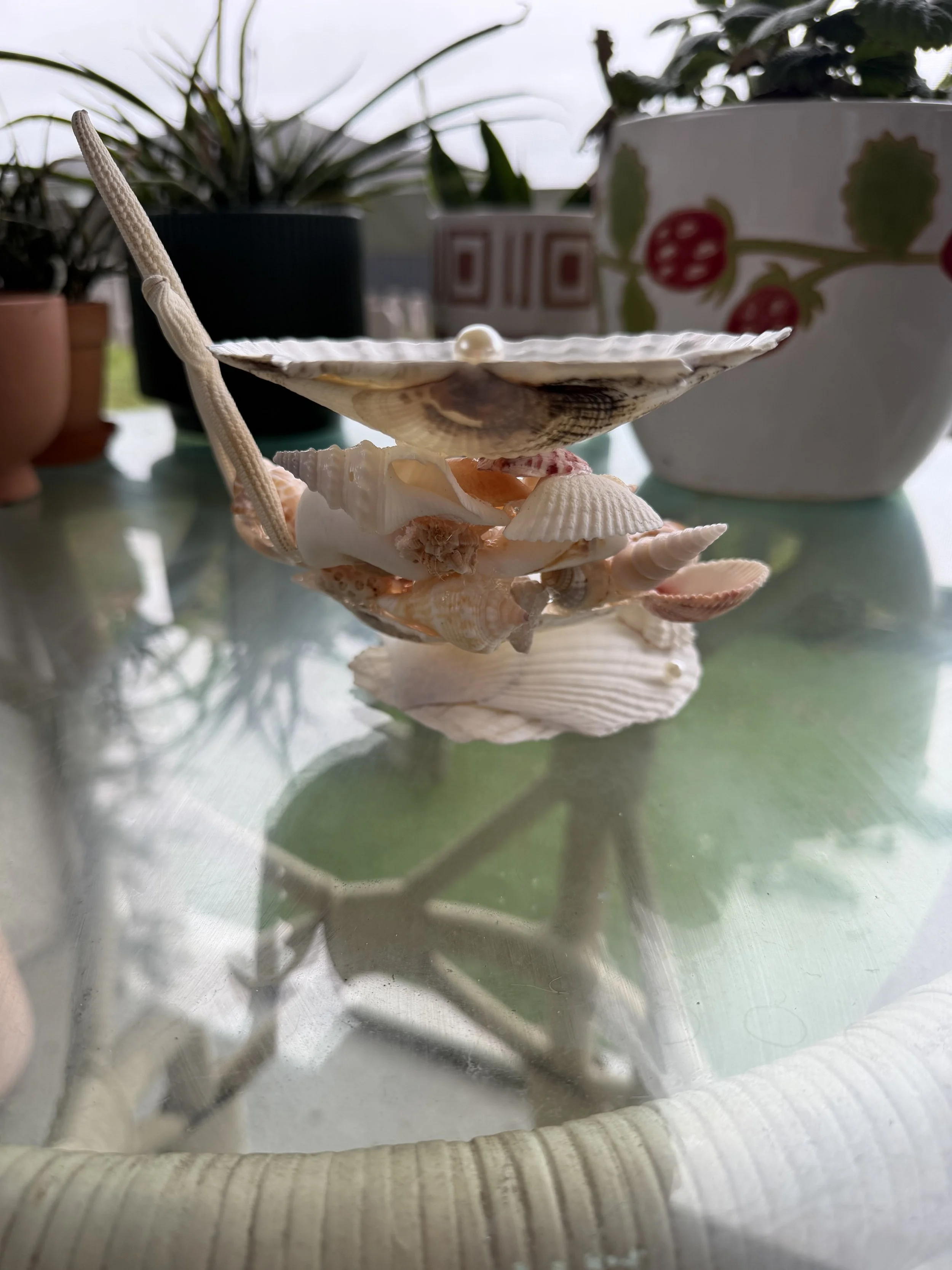 IMG_1156.jpeg