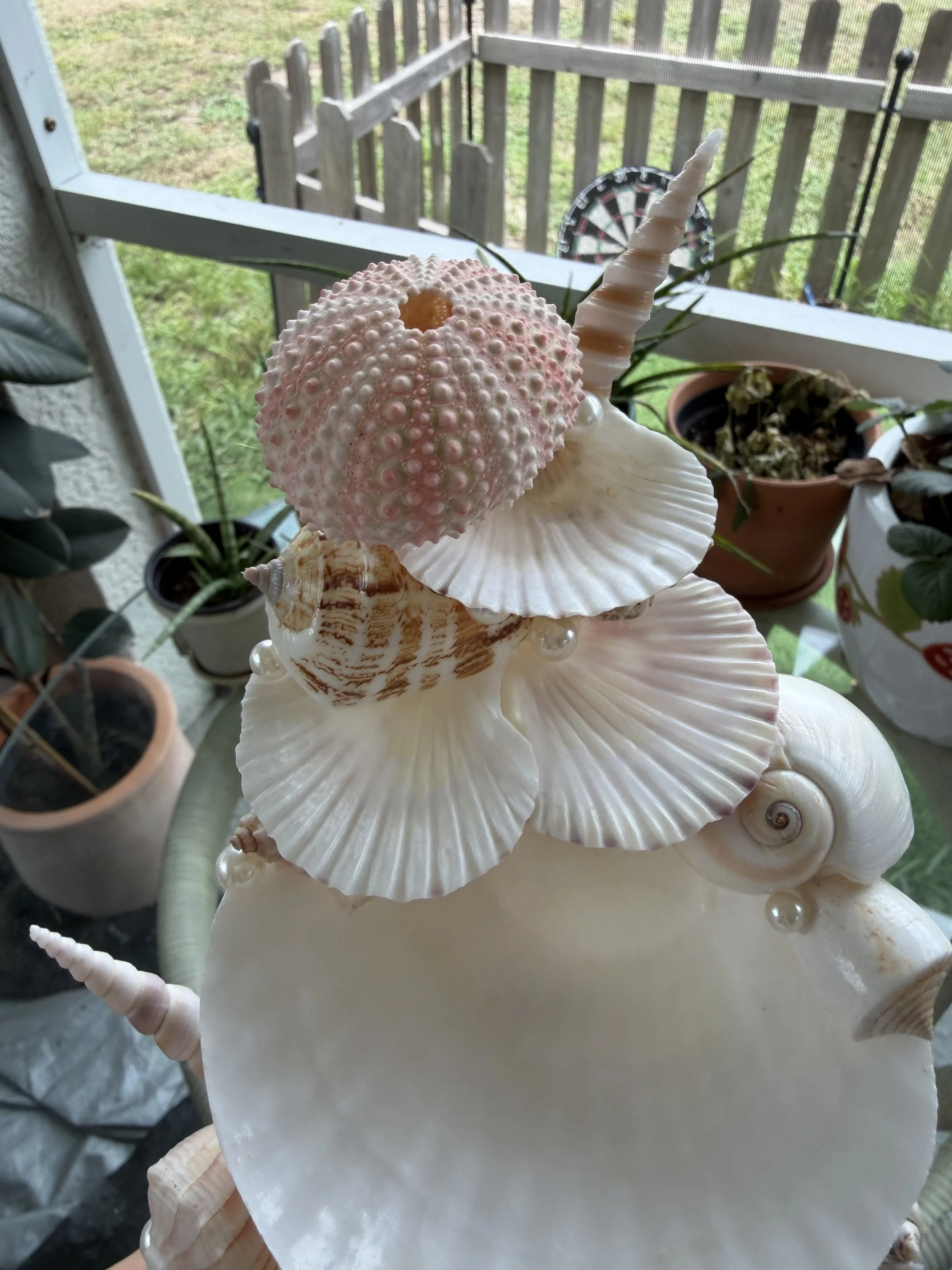IMG_2015.jpeg