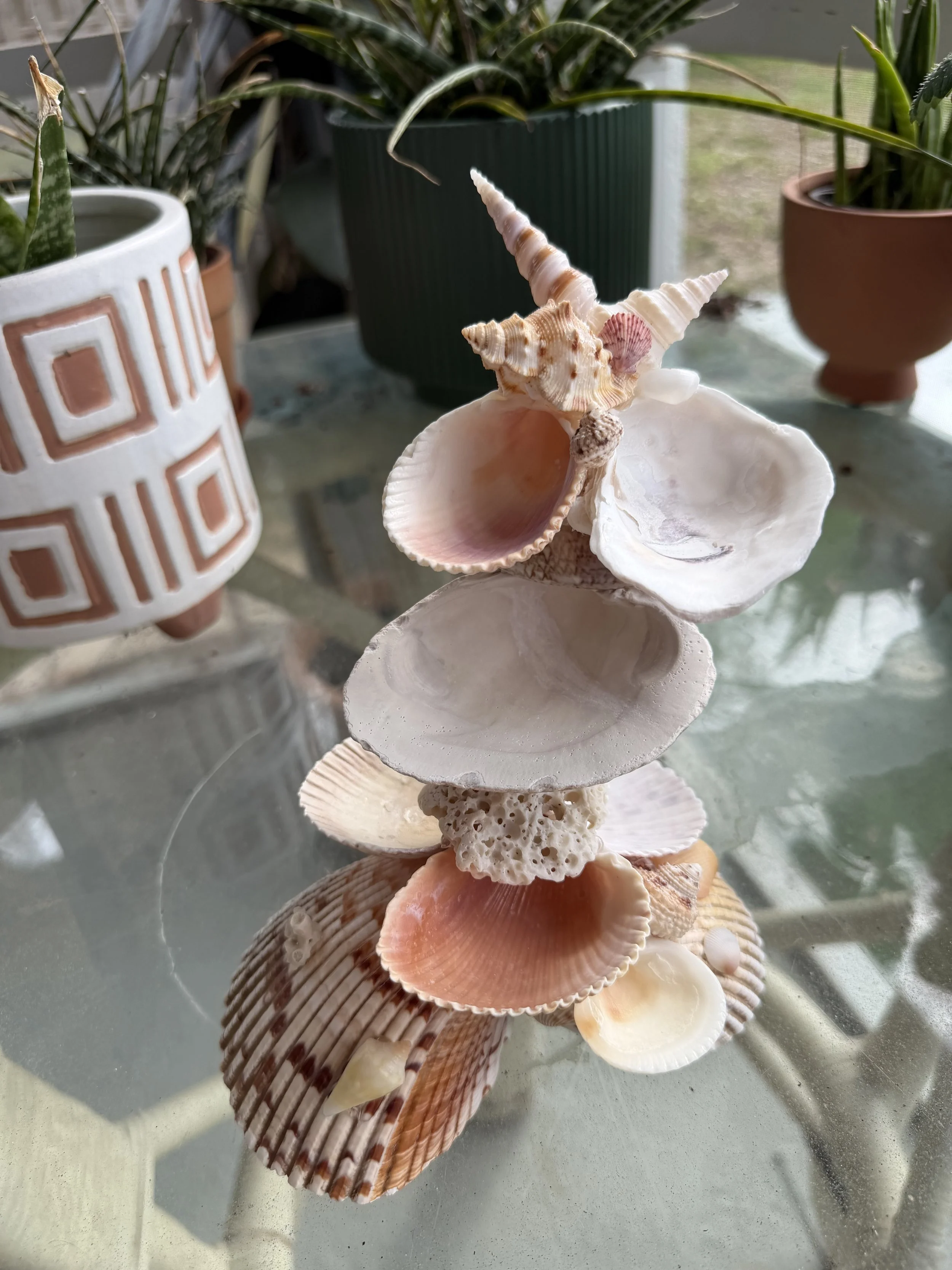 Scallop Shell Jewelry Sculpture