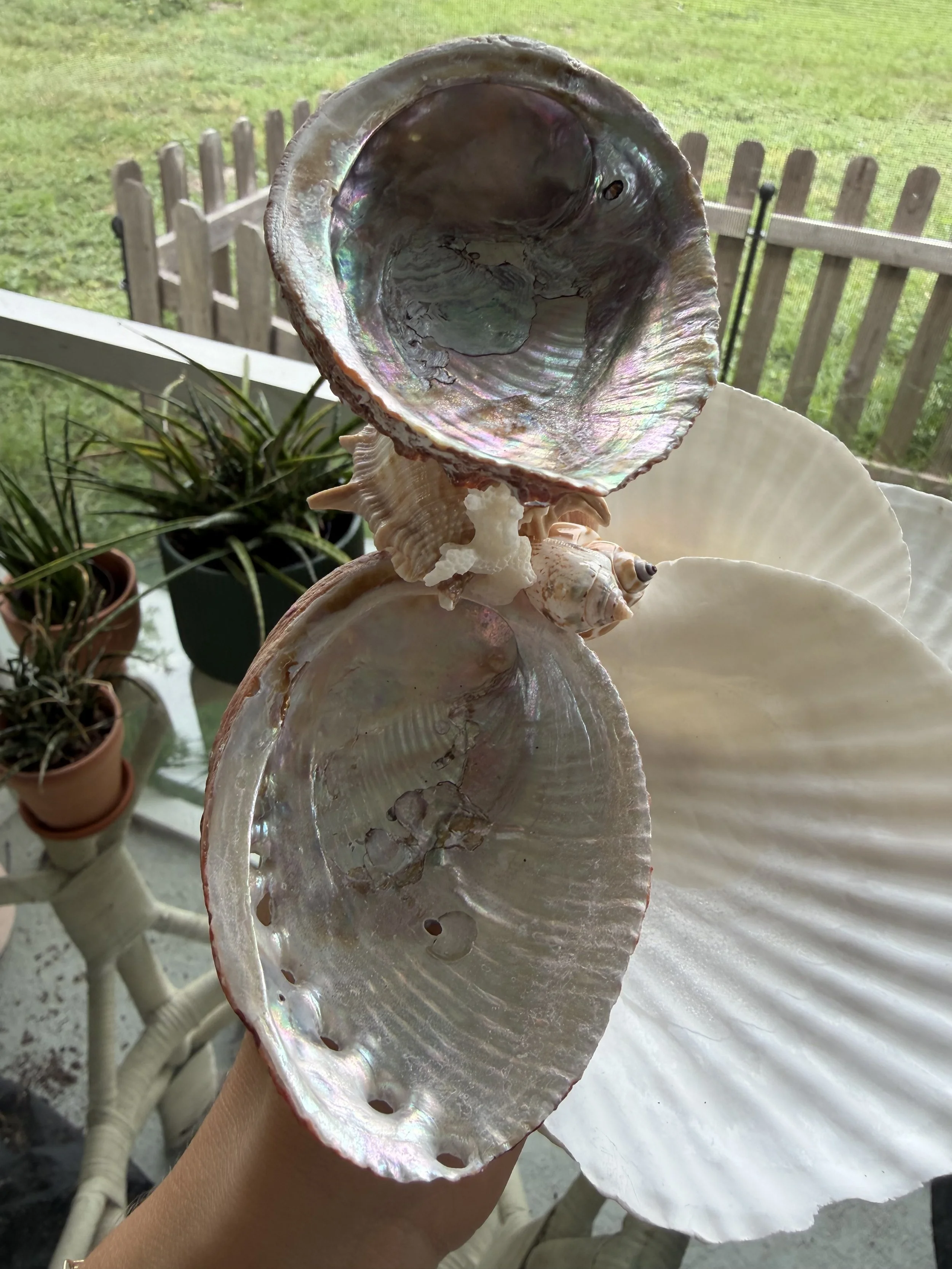 IMG_1879.jpeg