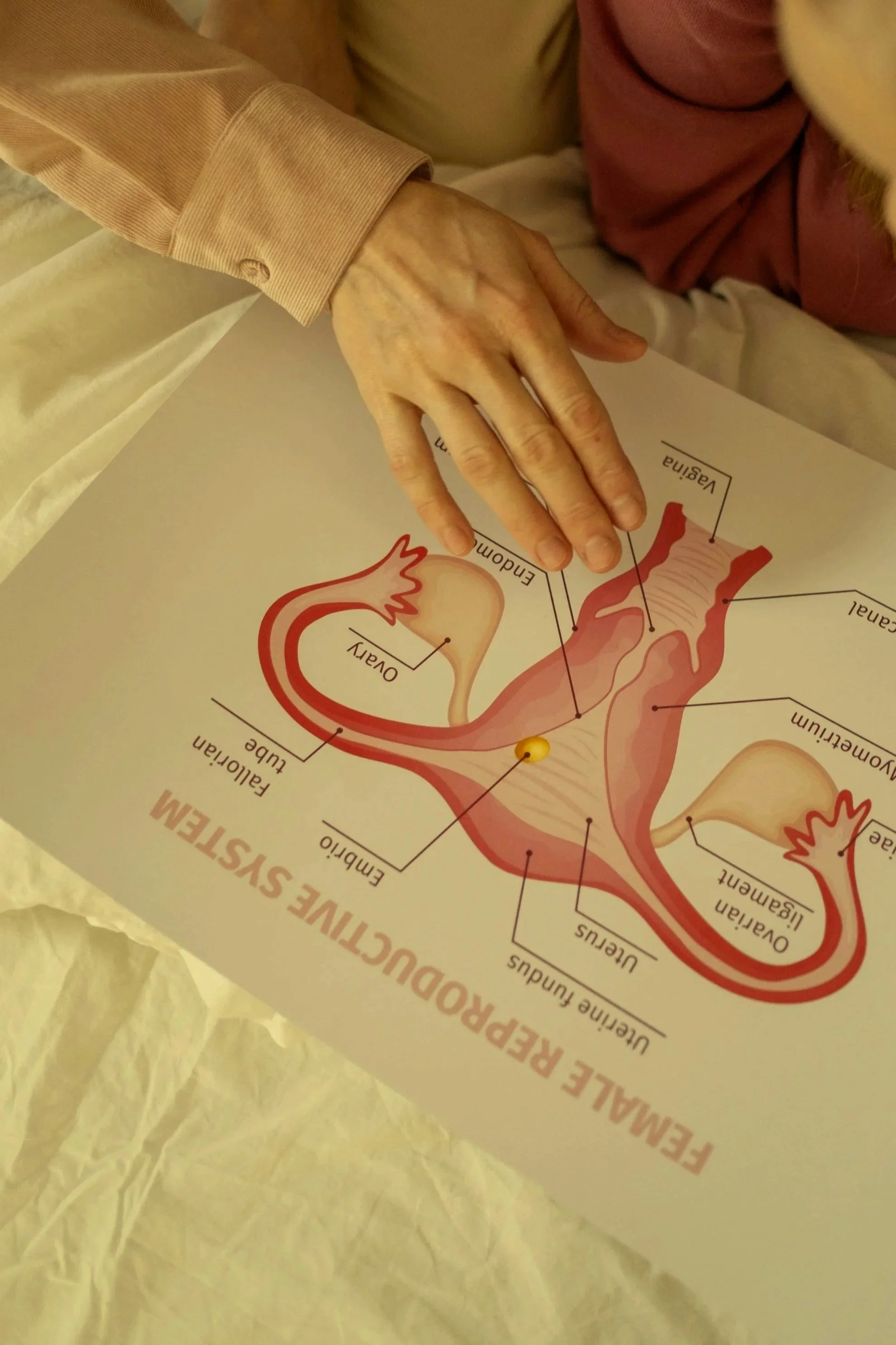 What is Sex Therapy Anyway?