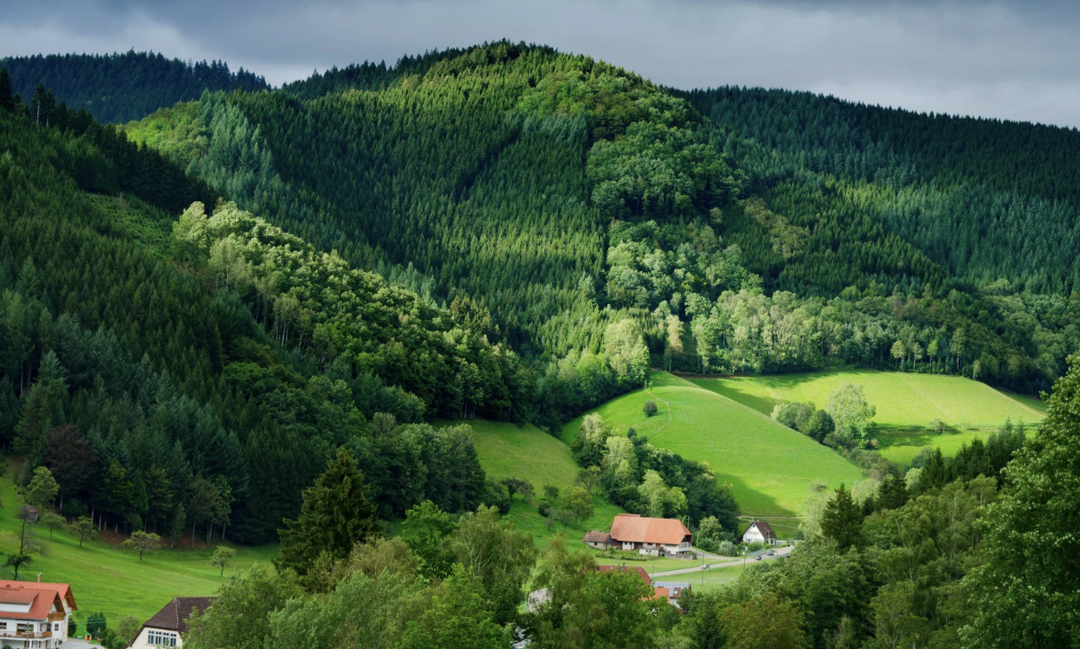 Grüne Hügel und Wälder mit einzelnen Häusern am Fuße der Berge.