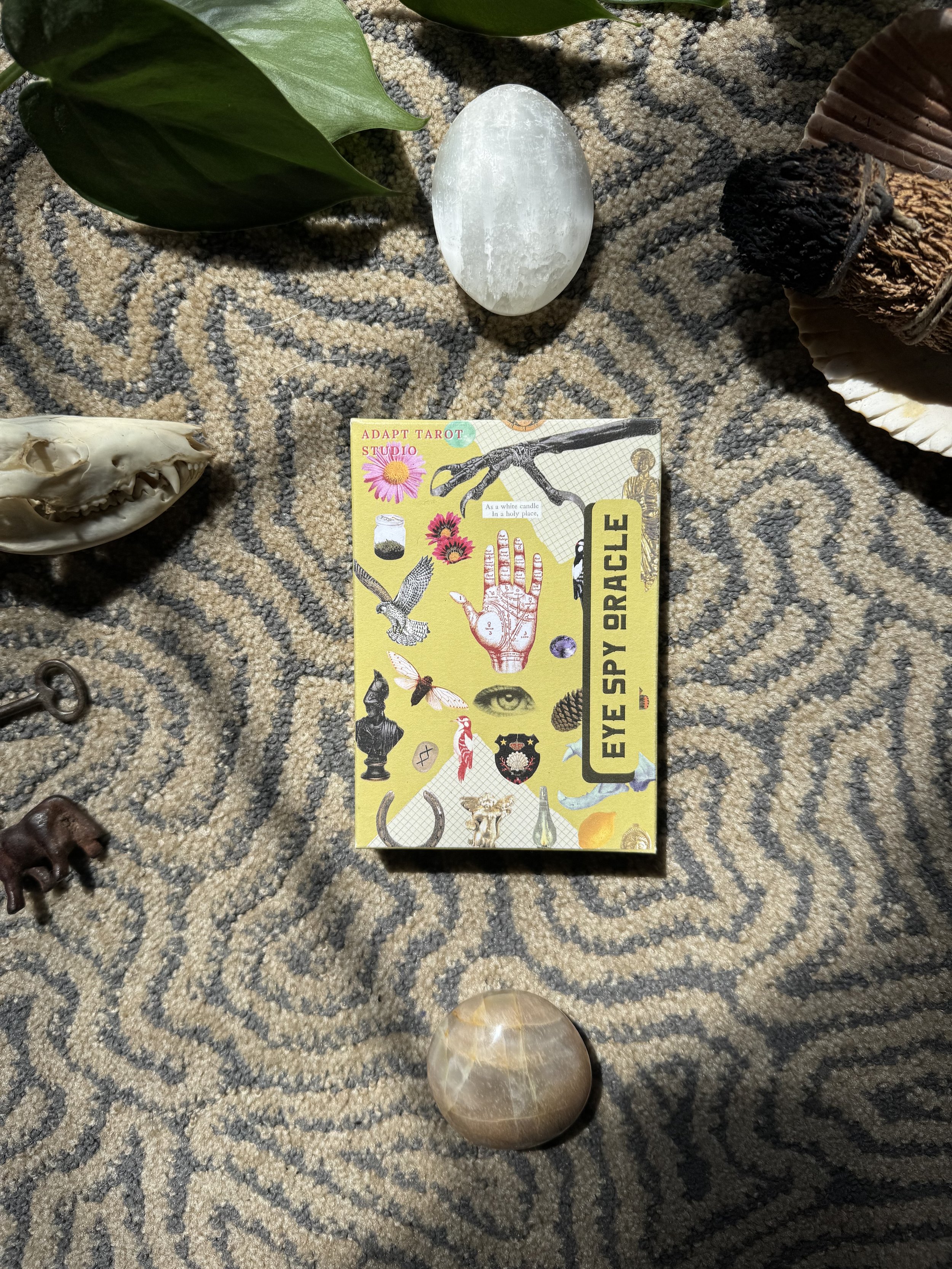 Eye Spy Oracle Deck and Guidebook