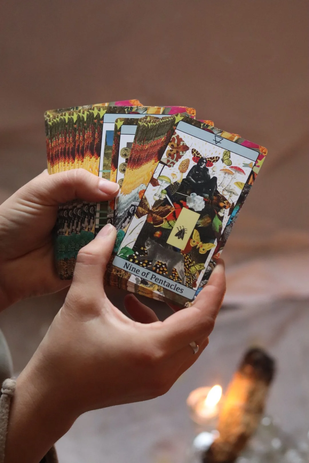 A person's hands holding multiple tarot cards, with the Nine of Pentacles card visible showing a seated woman surrounded by butterflies and nature imagery.