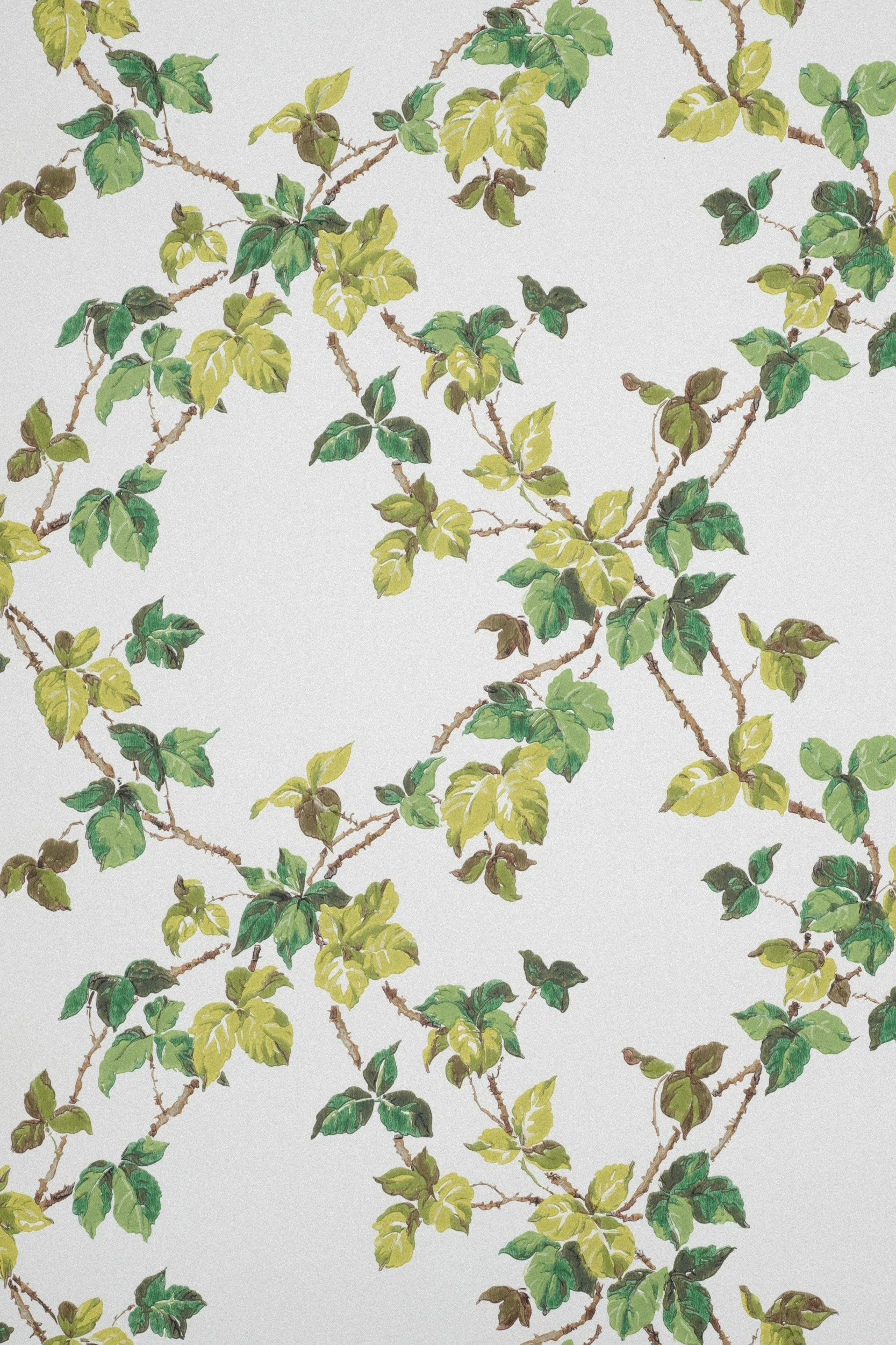 Pattern of green and yellow variegated leaves with brown stems on a light background.